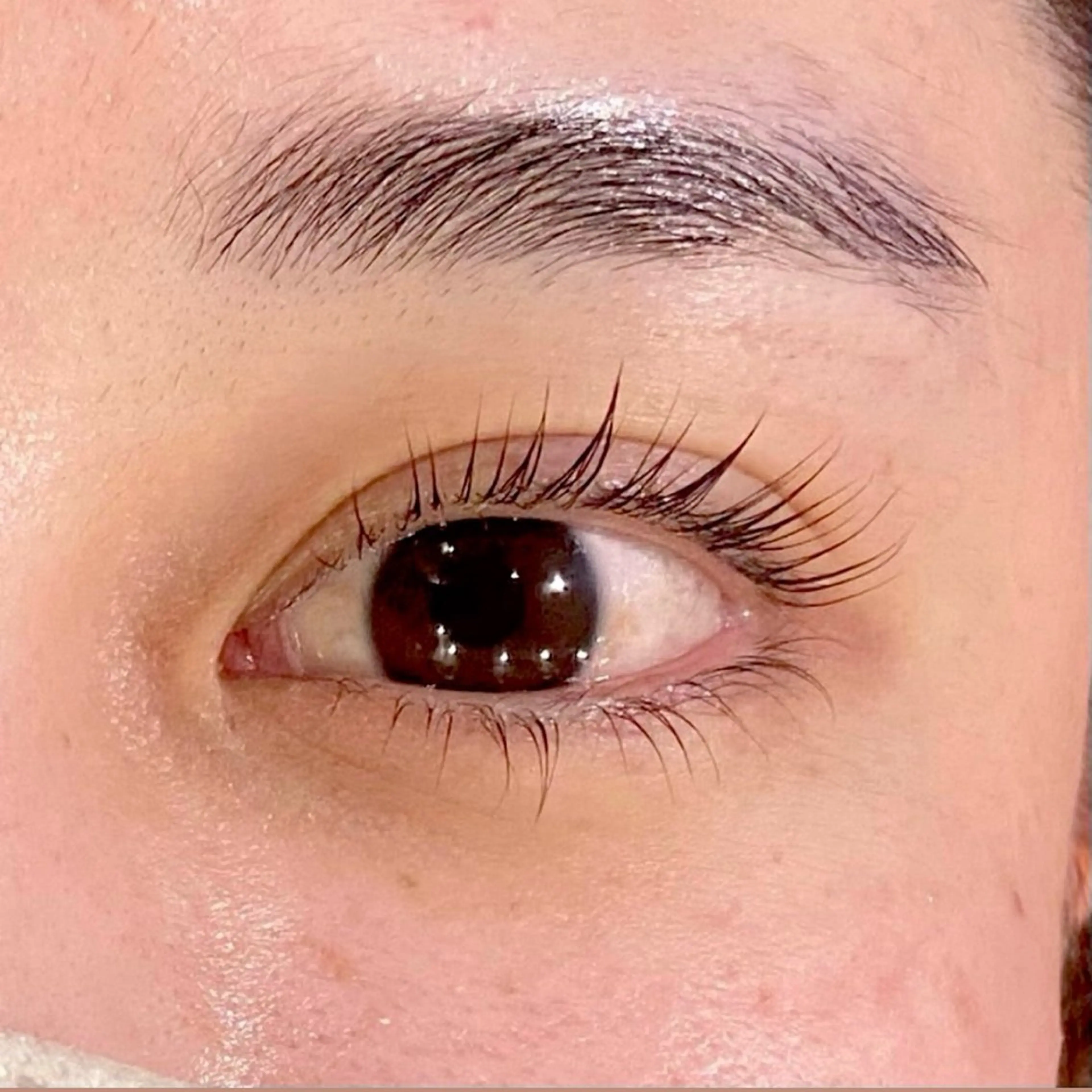 🎀束感まつげパーマ(上下)🎀美容液コーティング付の写真