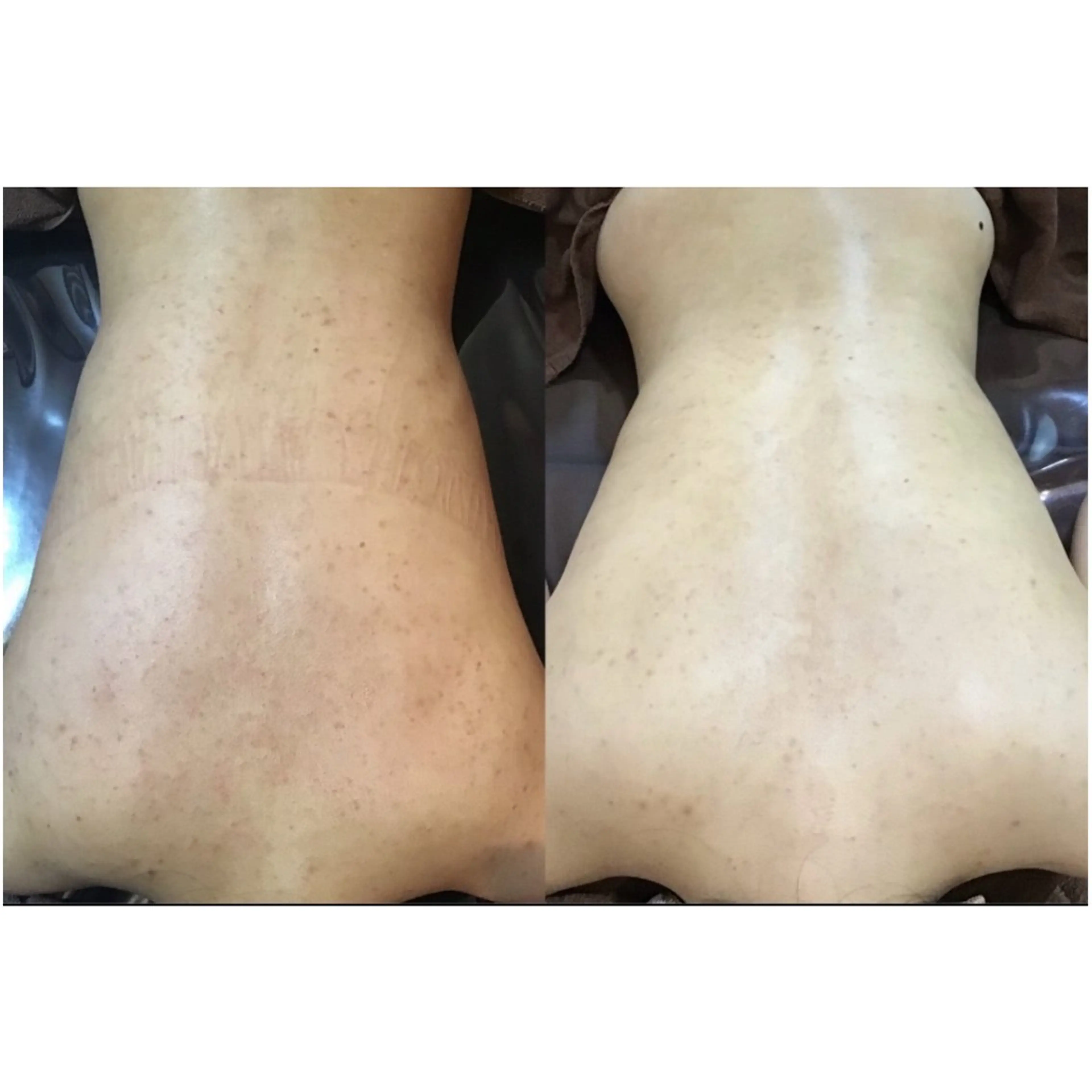 その他 エレファンテブランコ RIOのその他イメージ