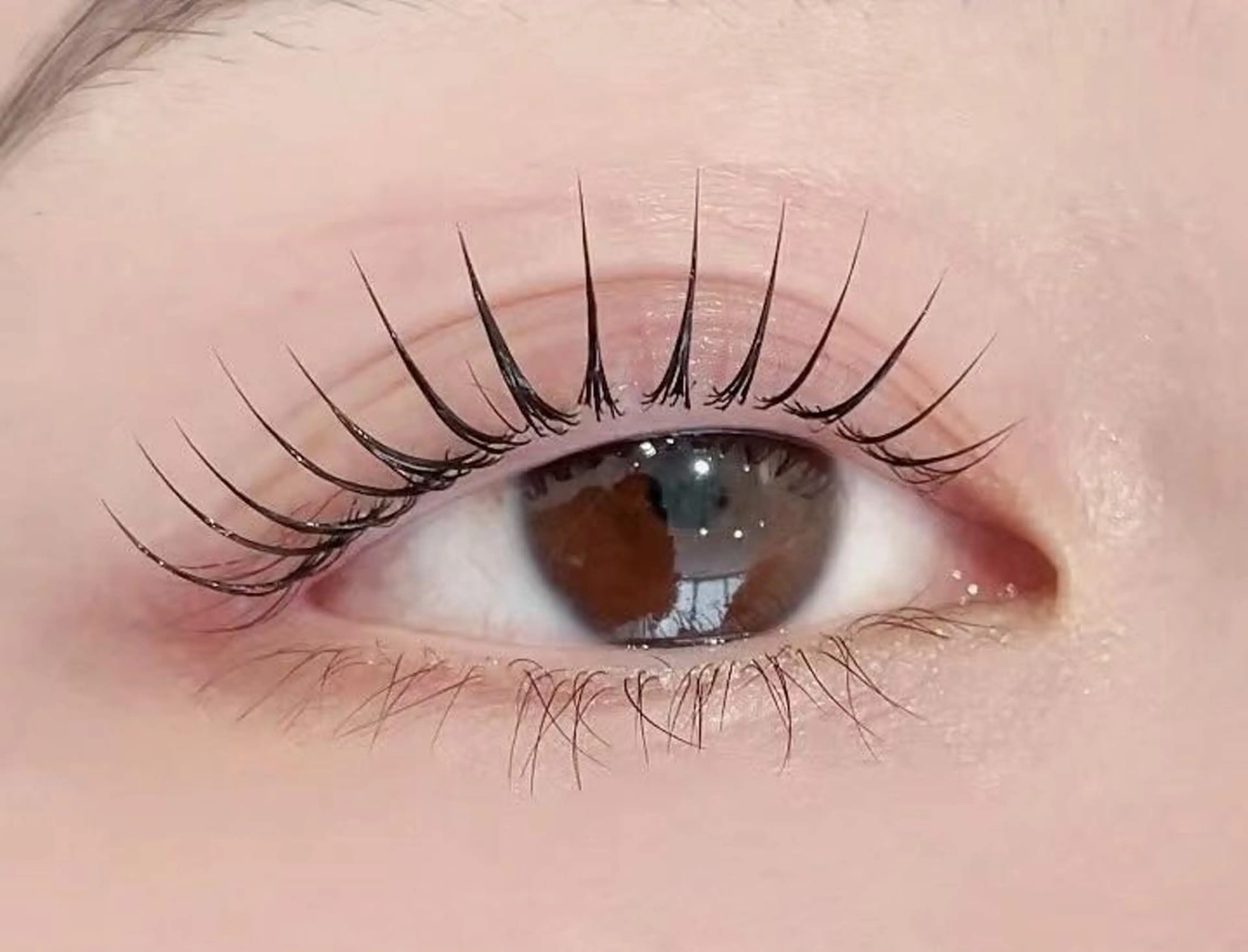 マツエク・マツパ まつげパーマ専門店 FOI 新宿のマツエク・マツパデザイン