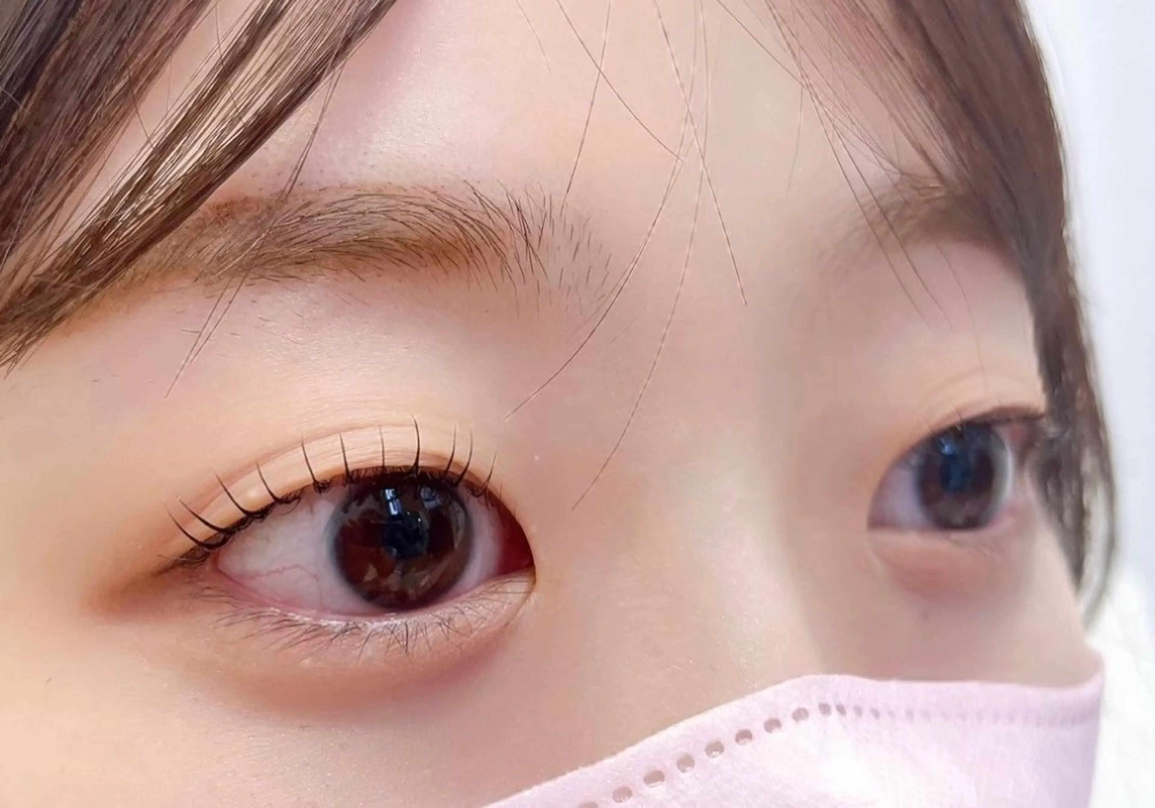 【韓国風🇰🇷】💜束感まつげパーマ＋高濃度美容液ケア💜の写真