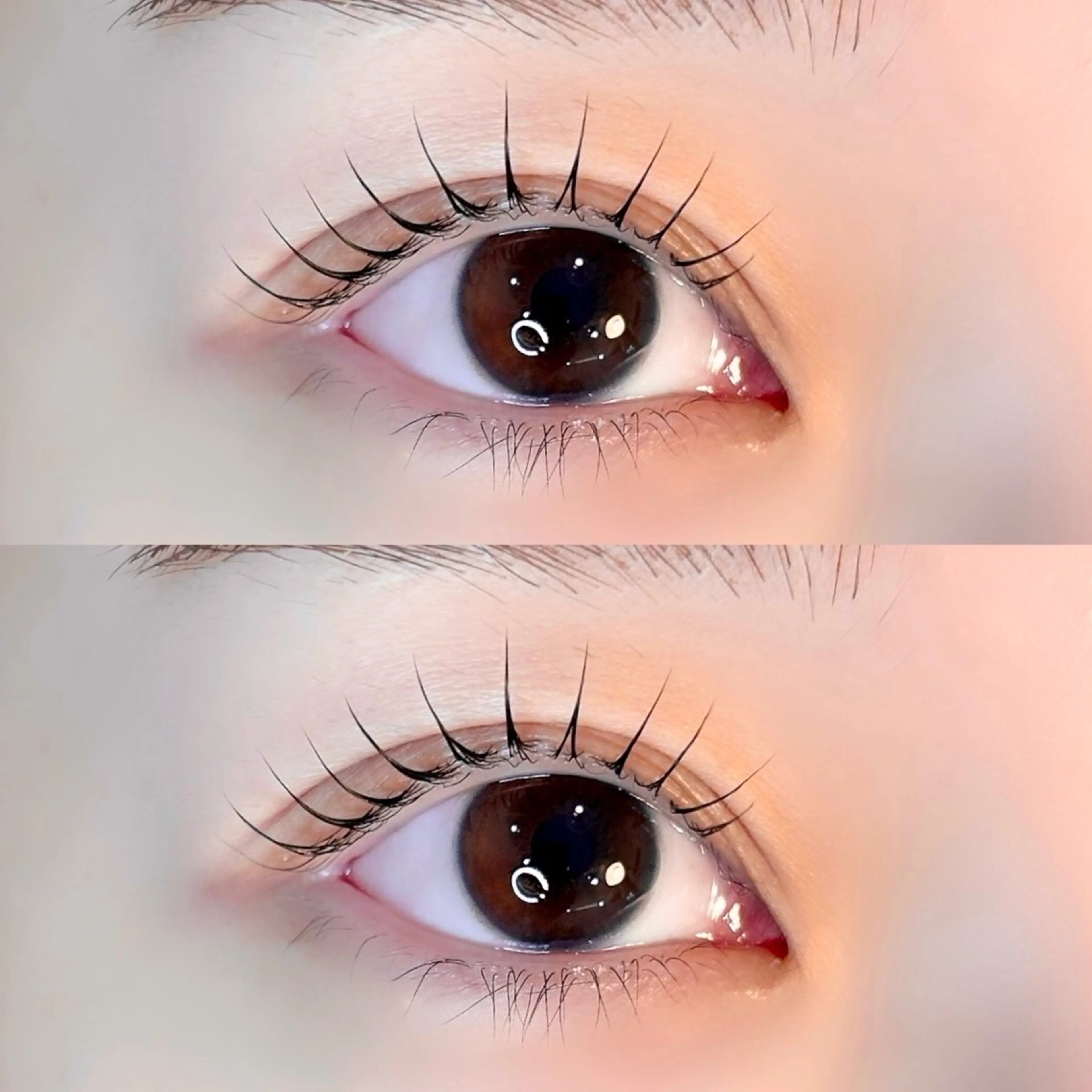 【毛質改善ラッシュリフト】まつ毛パーマ上下set🧡の写真
