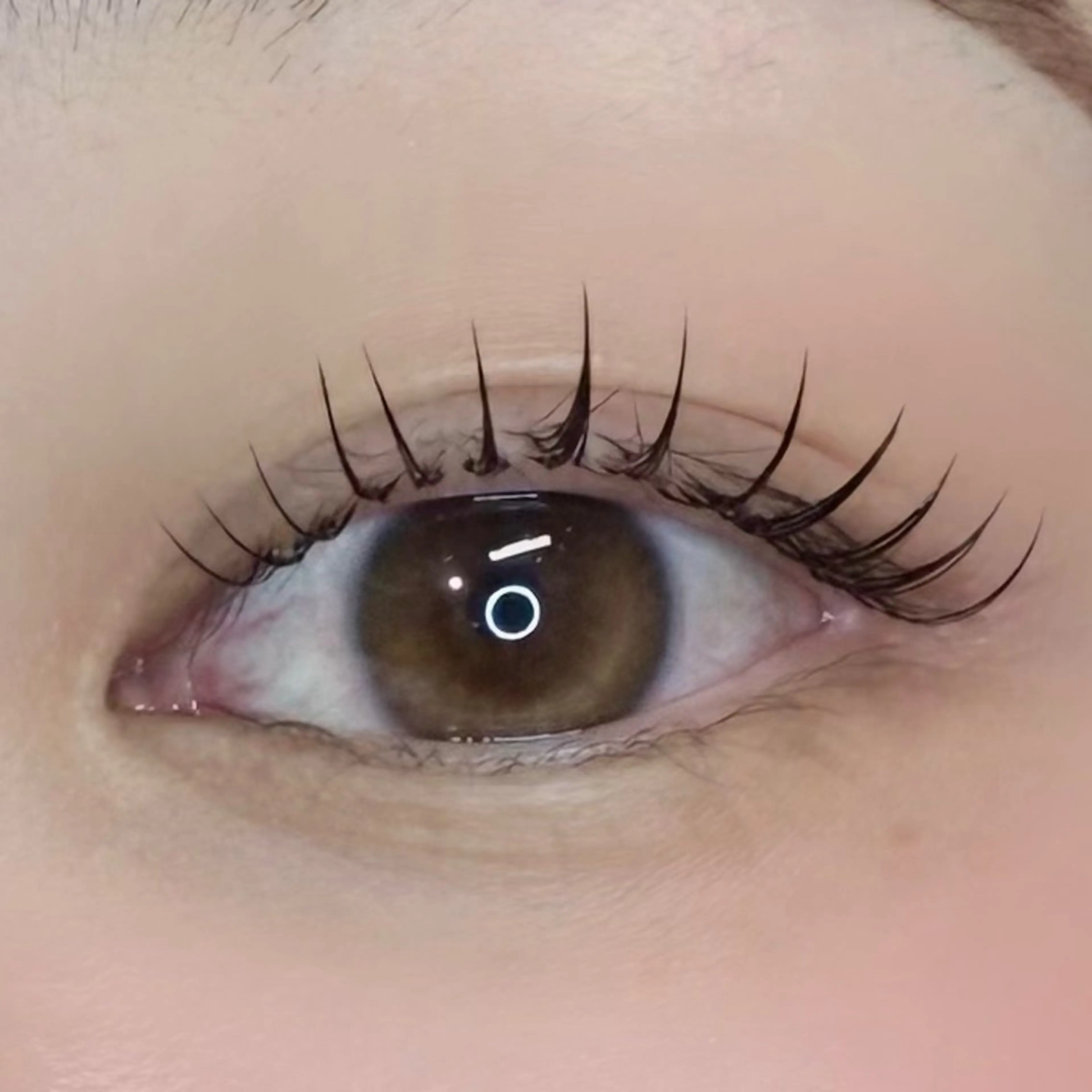 マツエク・マツパ Koa 🫧 Mei.のマツエク・マツパデザイン