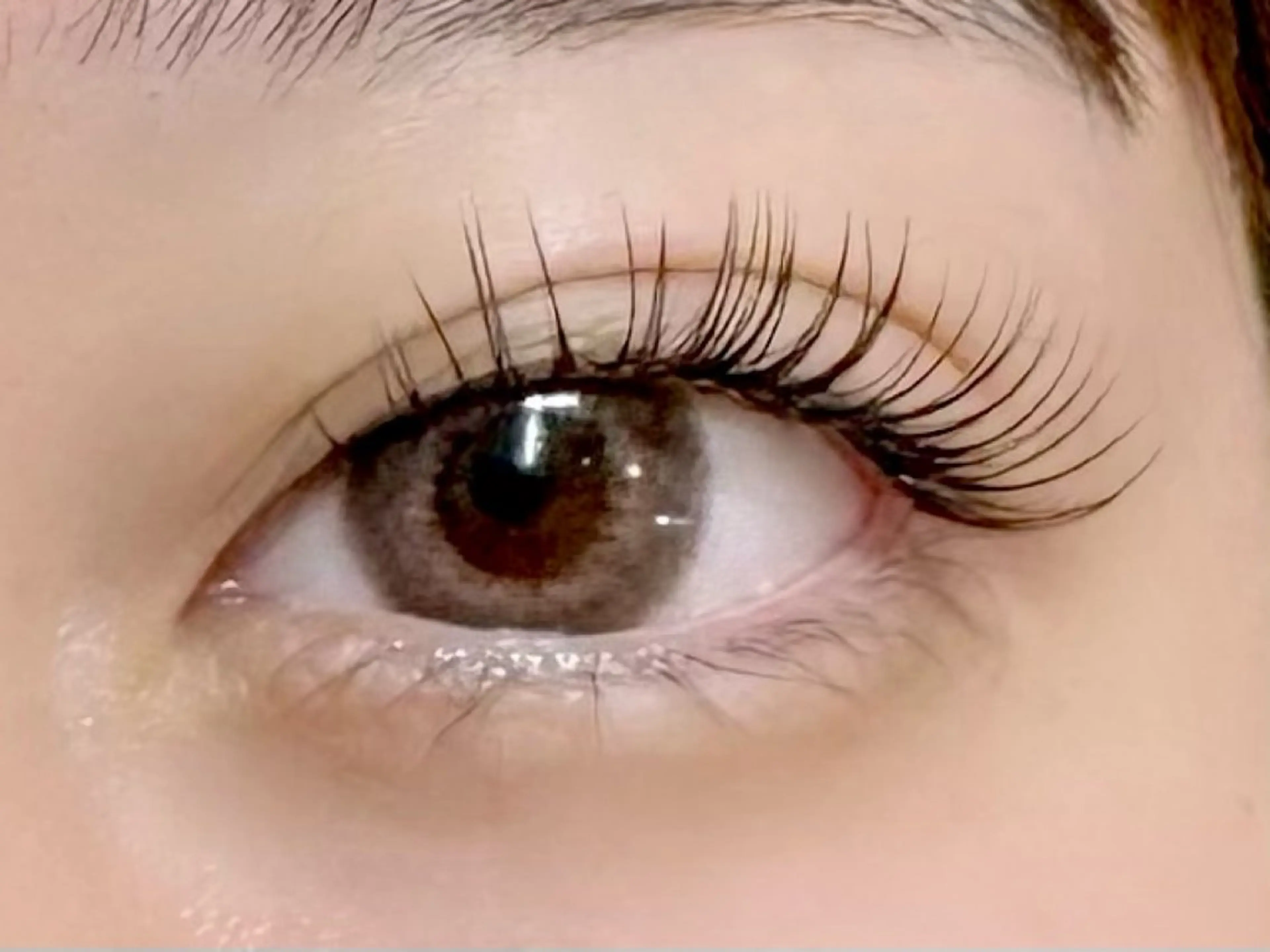 ​〜​LED​〜​フラットラッシュ❤︎140本（オフ込み）の写真