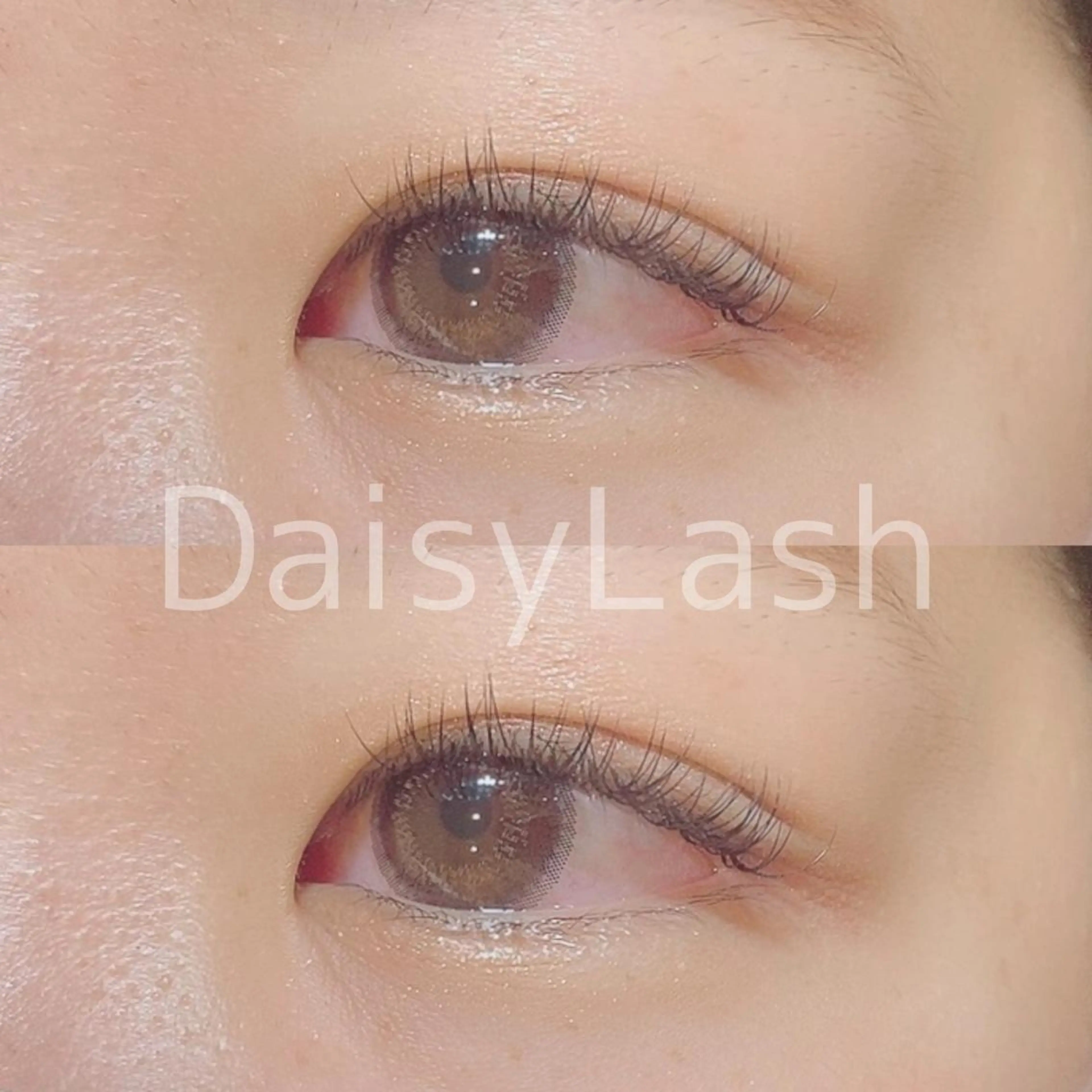マツエク・マツパ DaisyLash 京橋店のマツエク・マツパデザイン