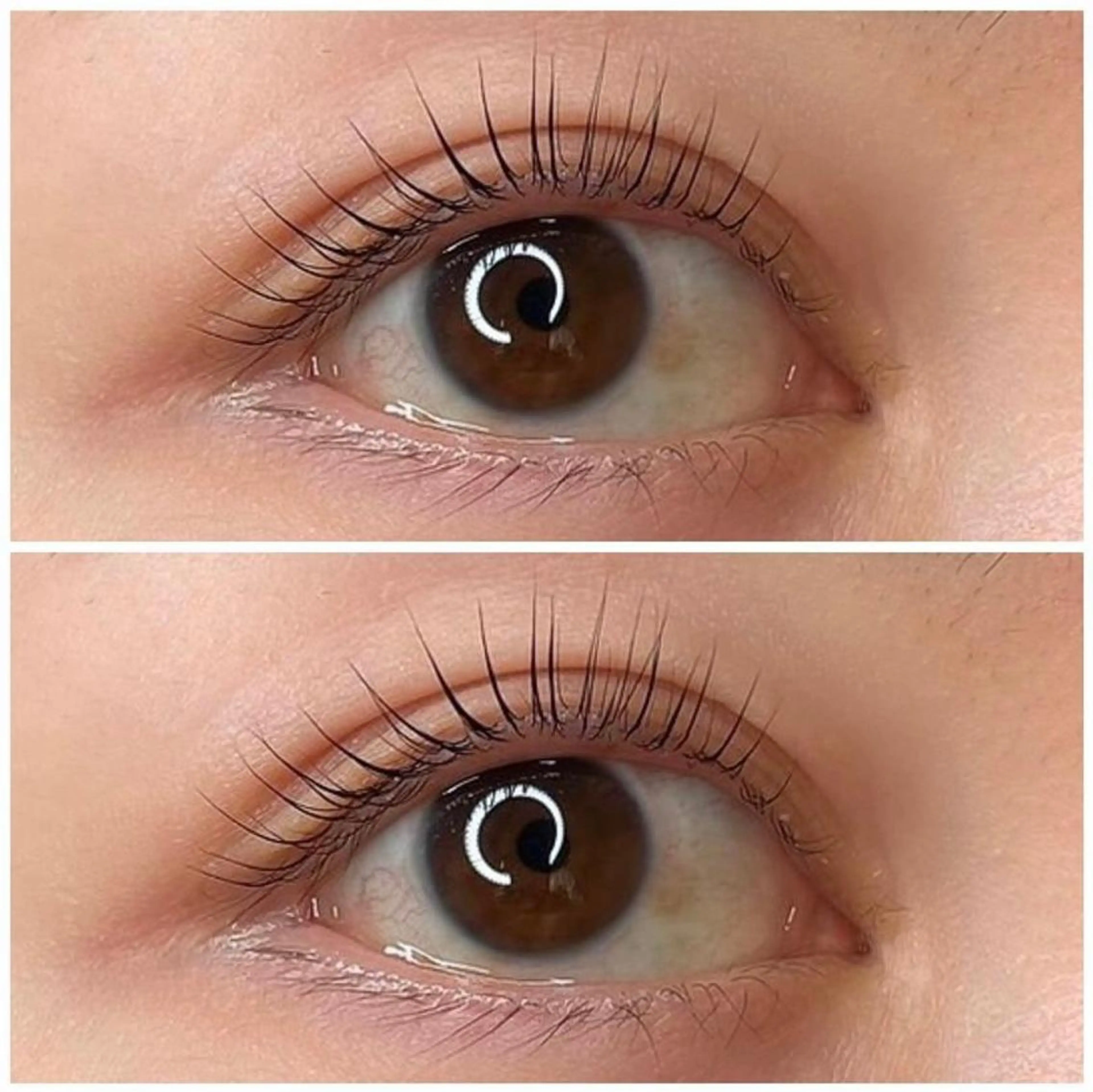 ✨初回✨　ラッシュリフト　《高濃度ケラチン＋コーティング付》の写真