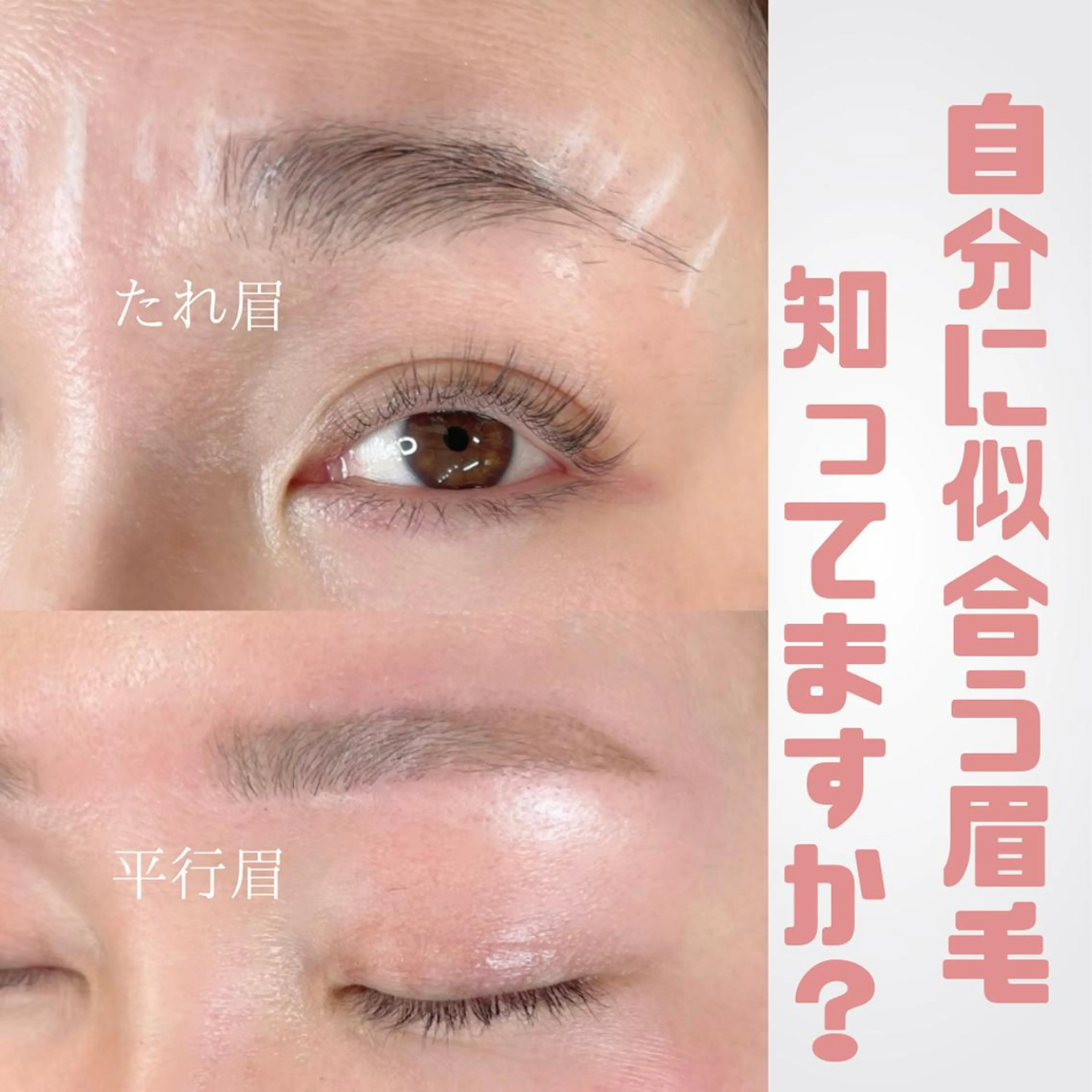 マツエク・マツパ アイブロウ BIO  PLUS 野口ちほの眉毛・アイブロウイメージ