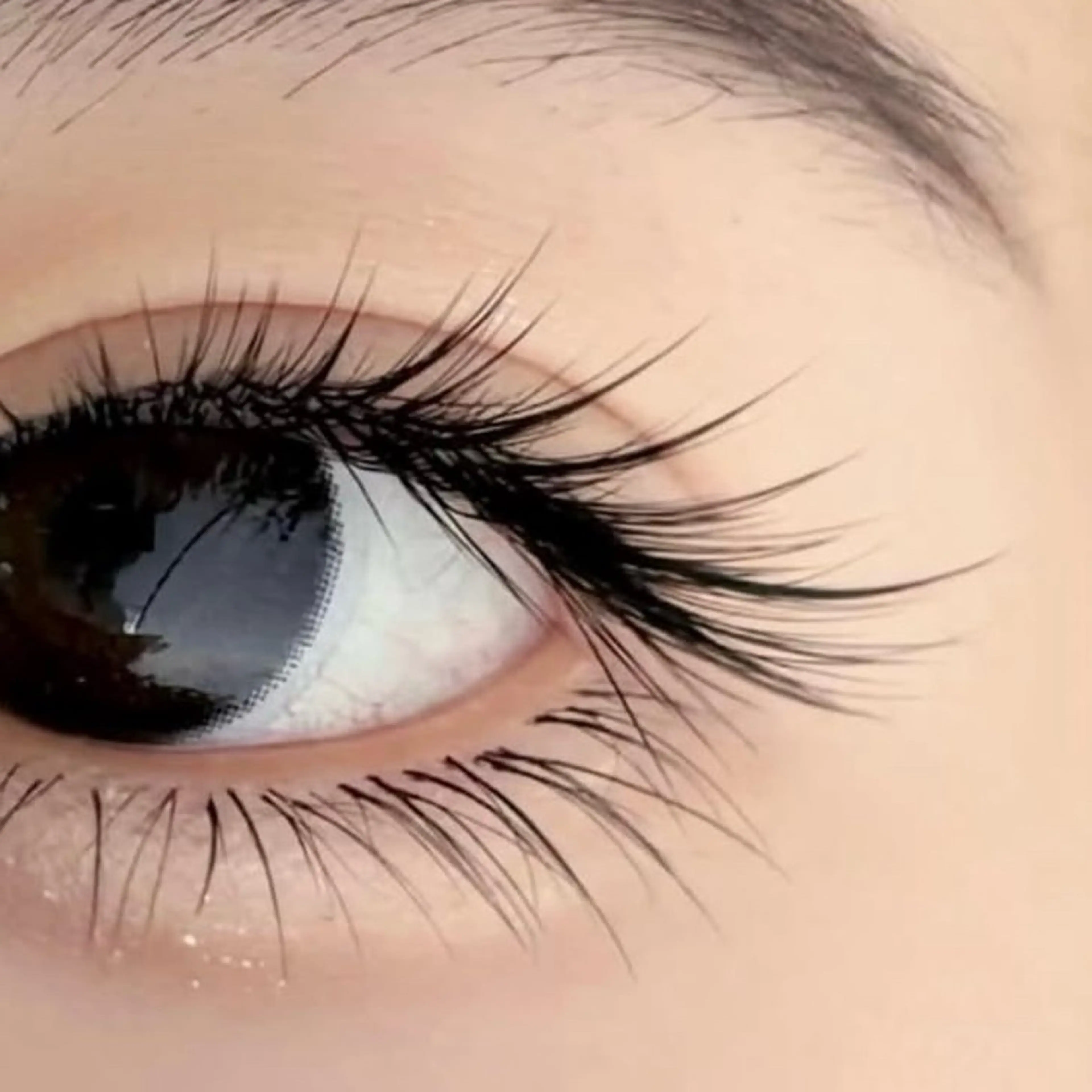 ▪️エクステ上下練習モデル▪️新デザイン✨◾️ワンホン.束.アニメラッシュ.バンコクスタイル✅ 39歳以下の写真