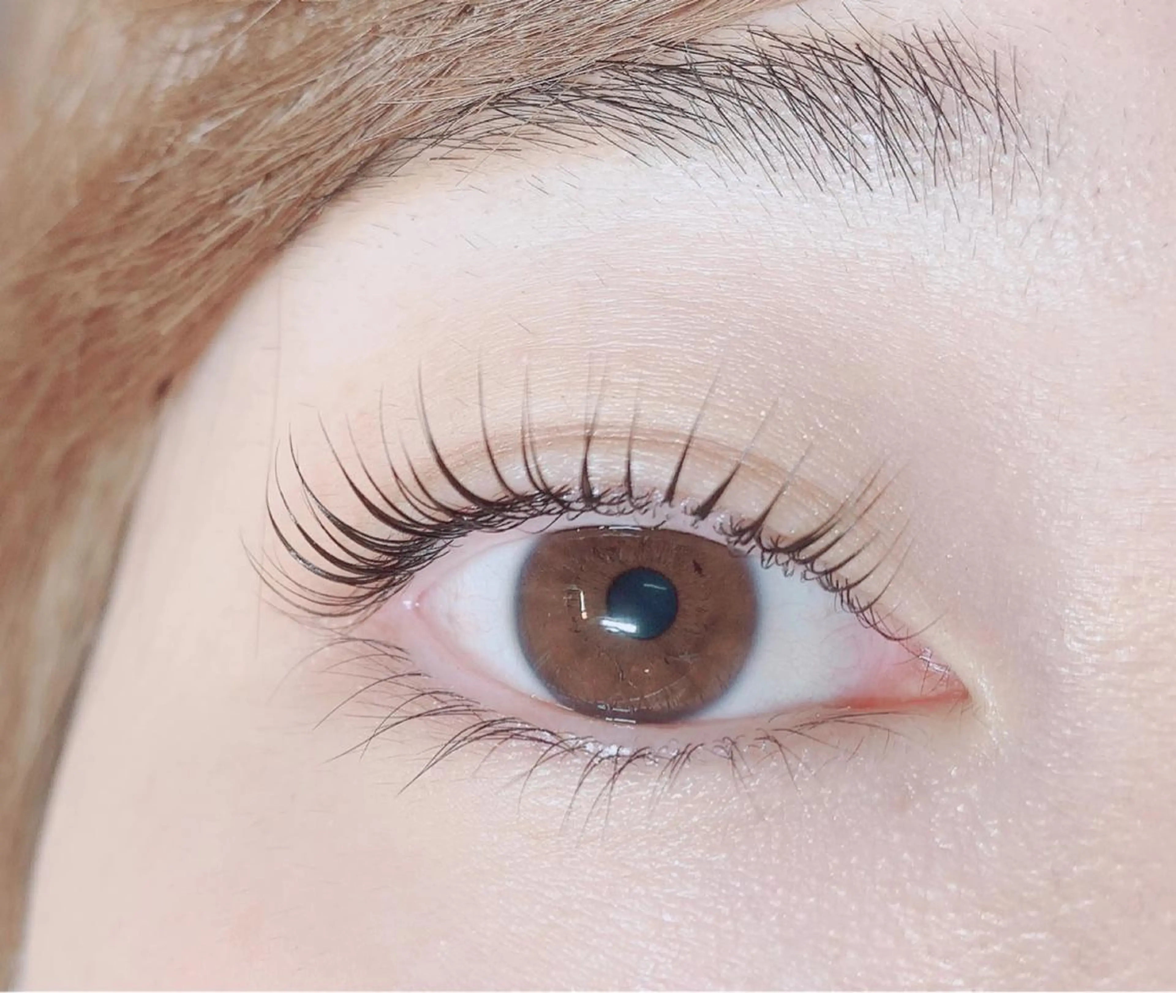 マツエク・マツパ fan.germe 副店長MIYABIのマツエク・マツパデザイン