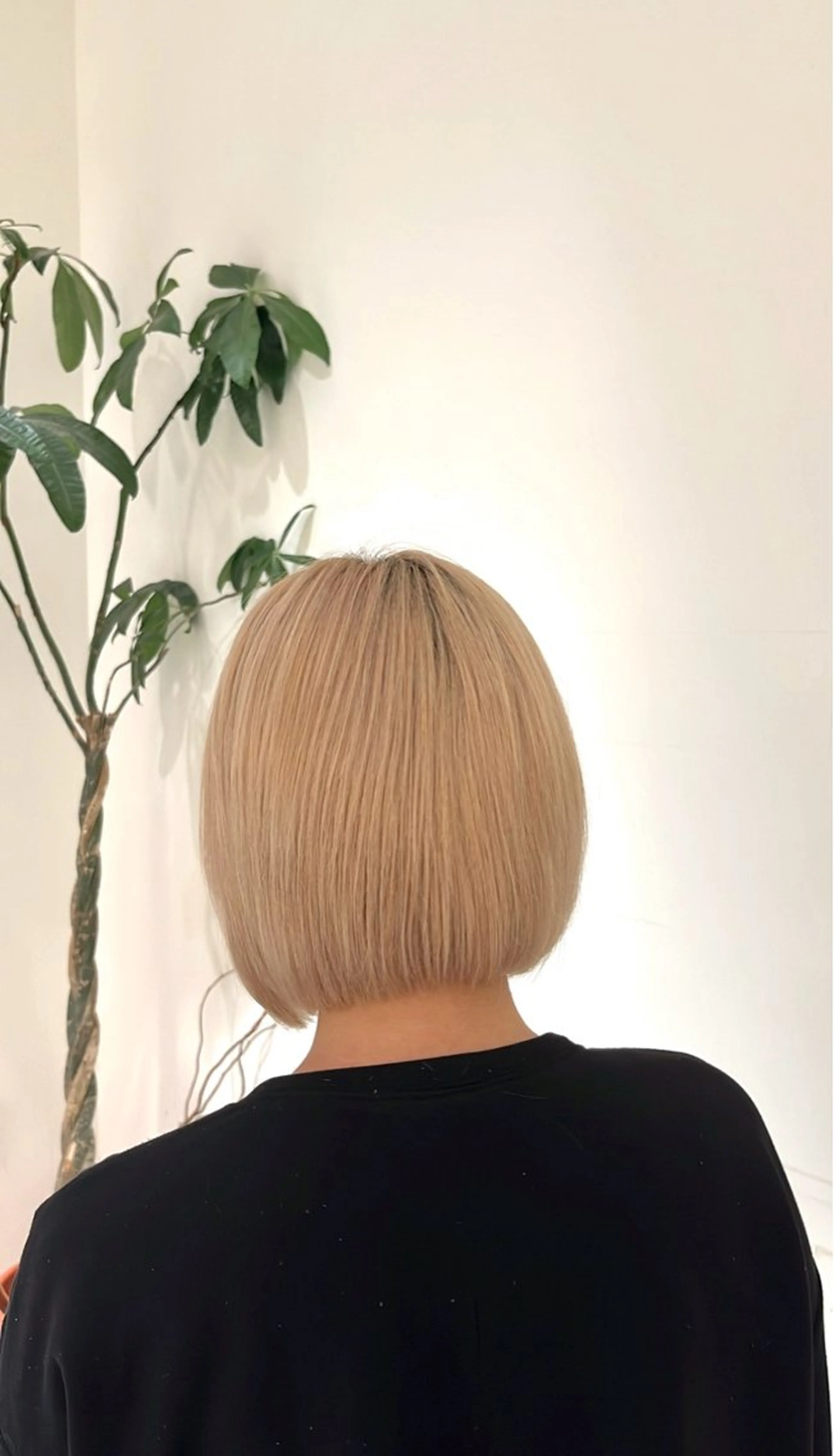 ショート ショートボブ ボブ ショートヘア good day aura所属・good day 淵上 涼花のヘアスタイル