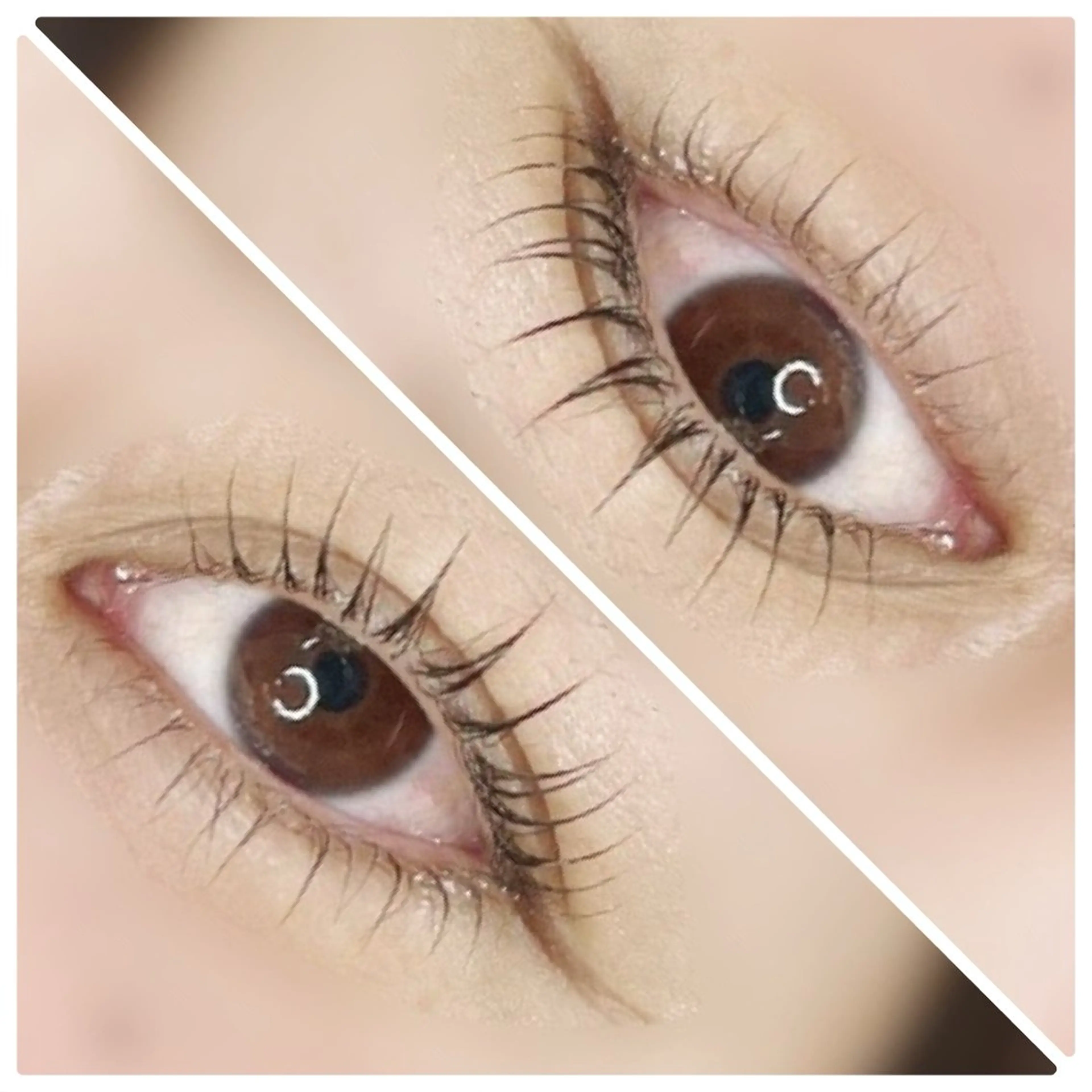 平日限定❤️上マスカラパーマ付き👀上下まつ毛パーマ【アイシャンプー&トリートメント込み】持ちアップ⤴️ラッシュリフトの写真