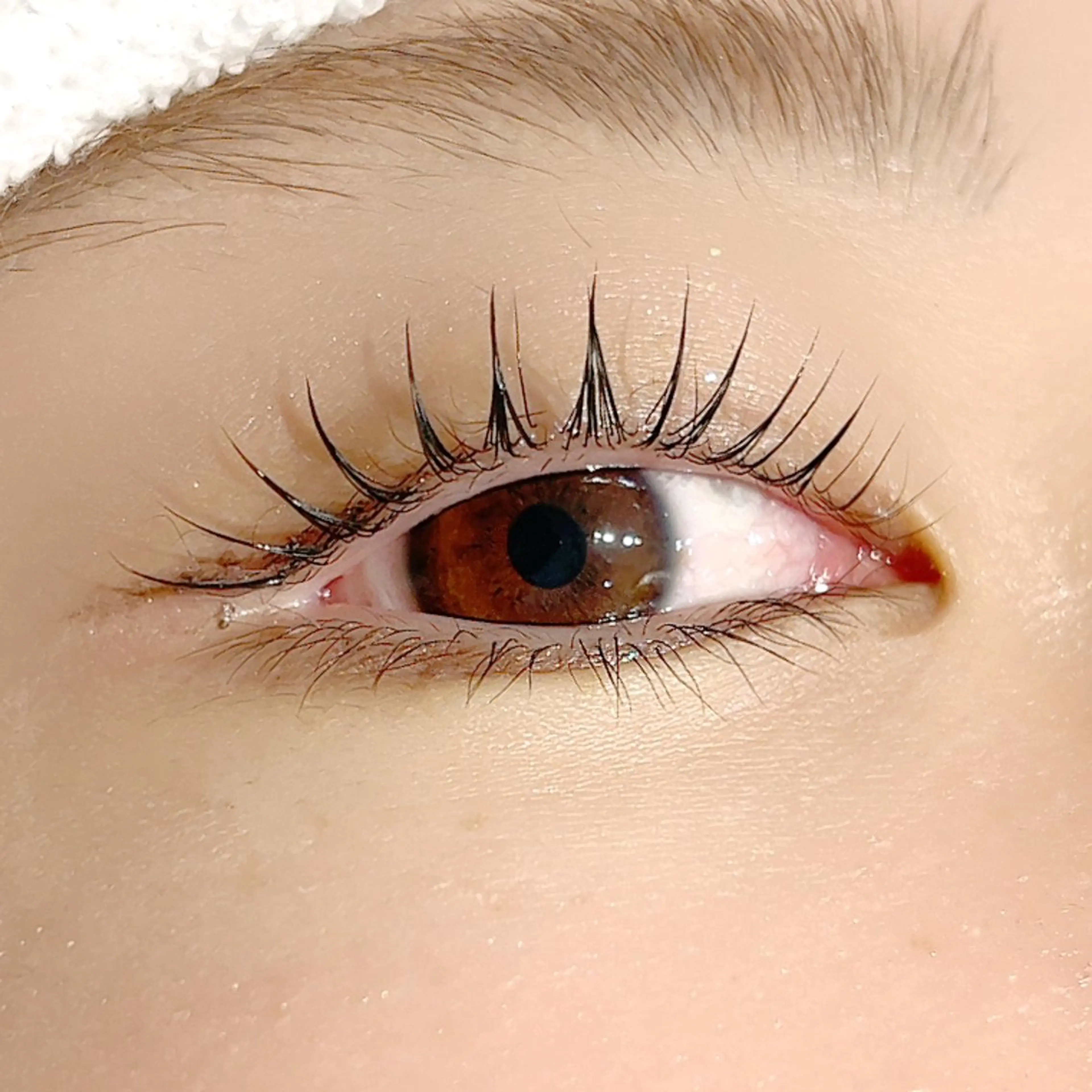 マツエク・マツパ パリジェンヌラッシュリフト こだわりカラー🕊️ 坪井美南🌼のマツエク・マツパデザイン