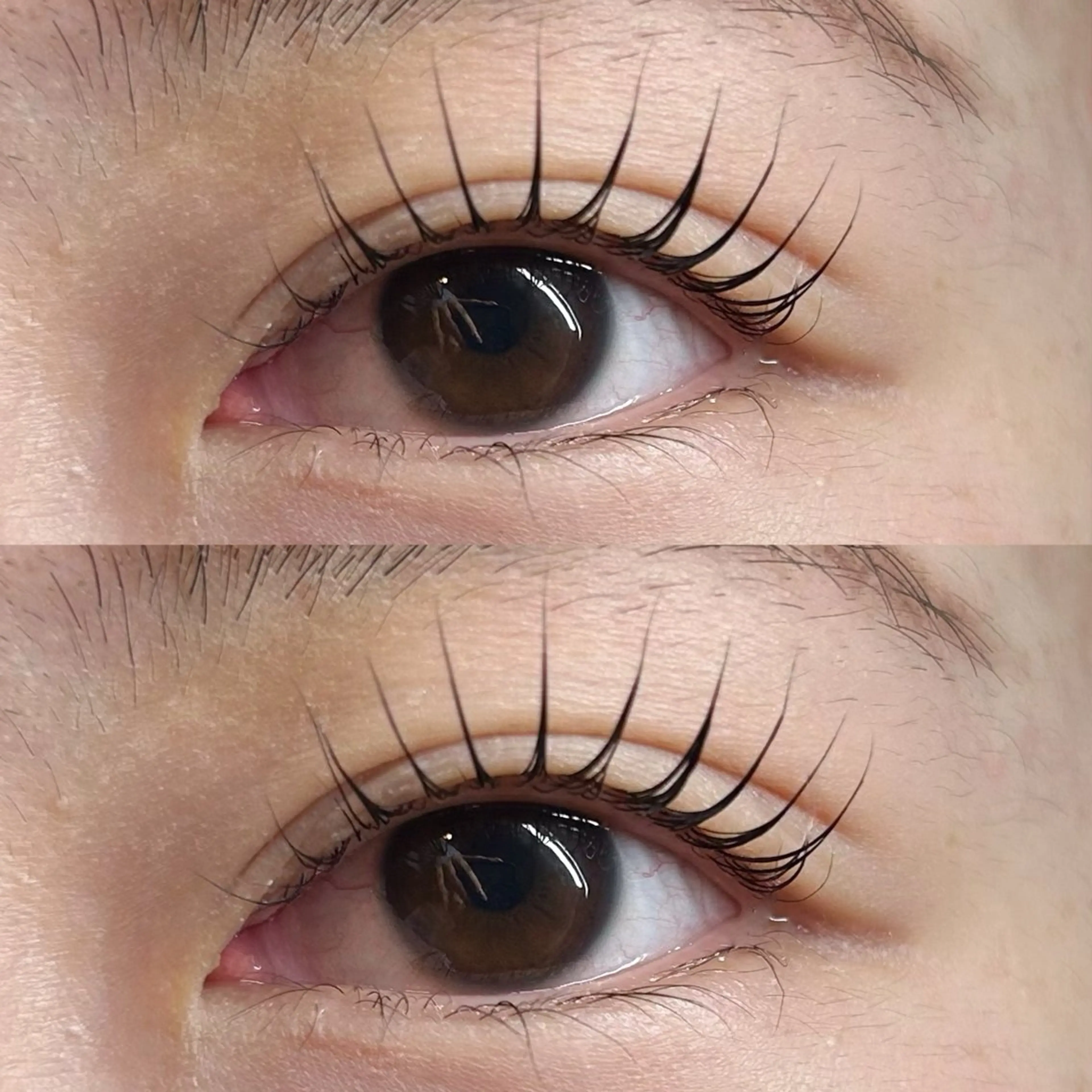 マツエク・マツパ マツパ Rise 🎀のマツエク・マツパデザイン