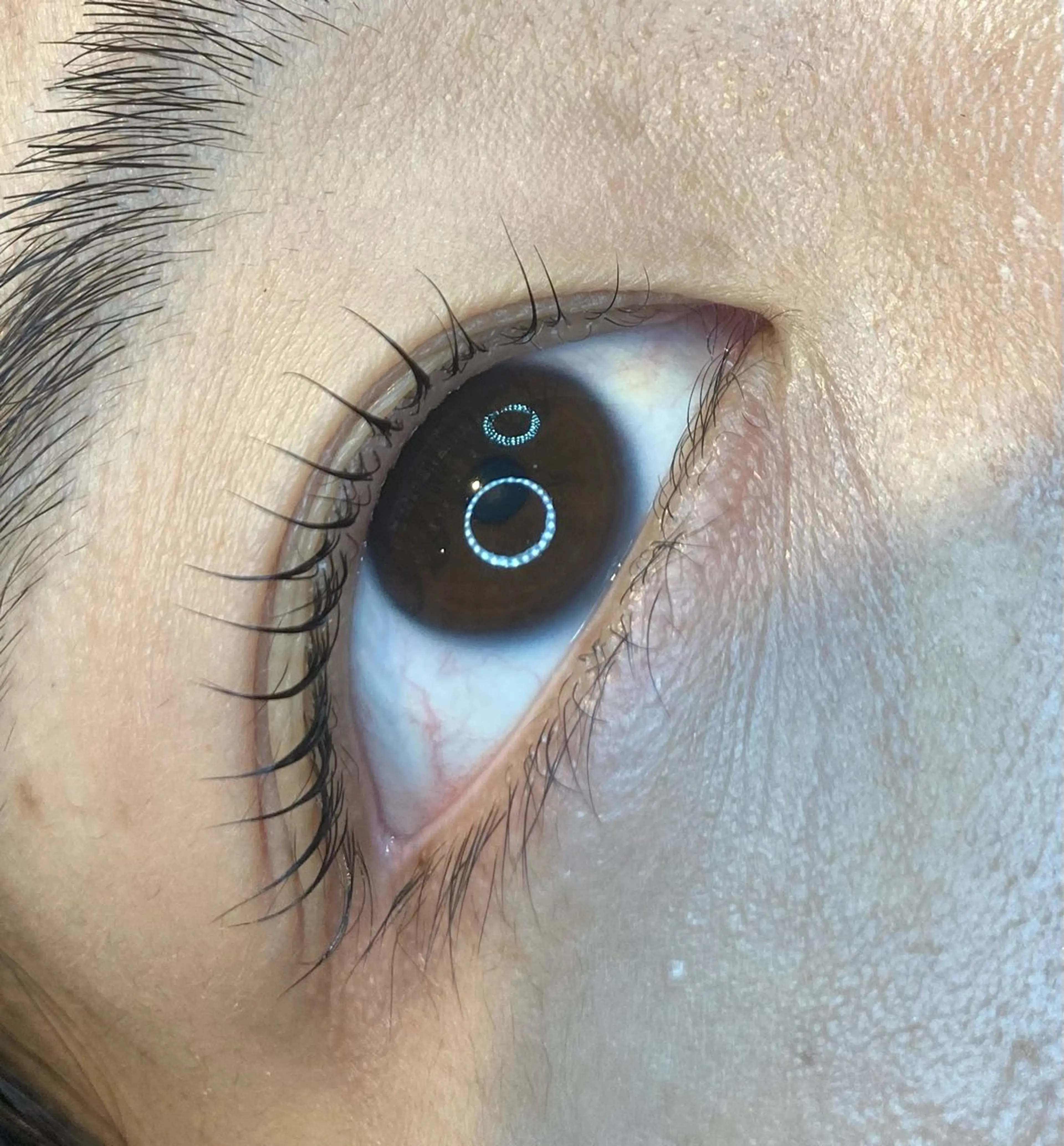 マツエク・マツパ radiance 菅野のマツエク・マツパデザイン