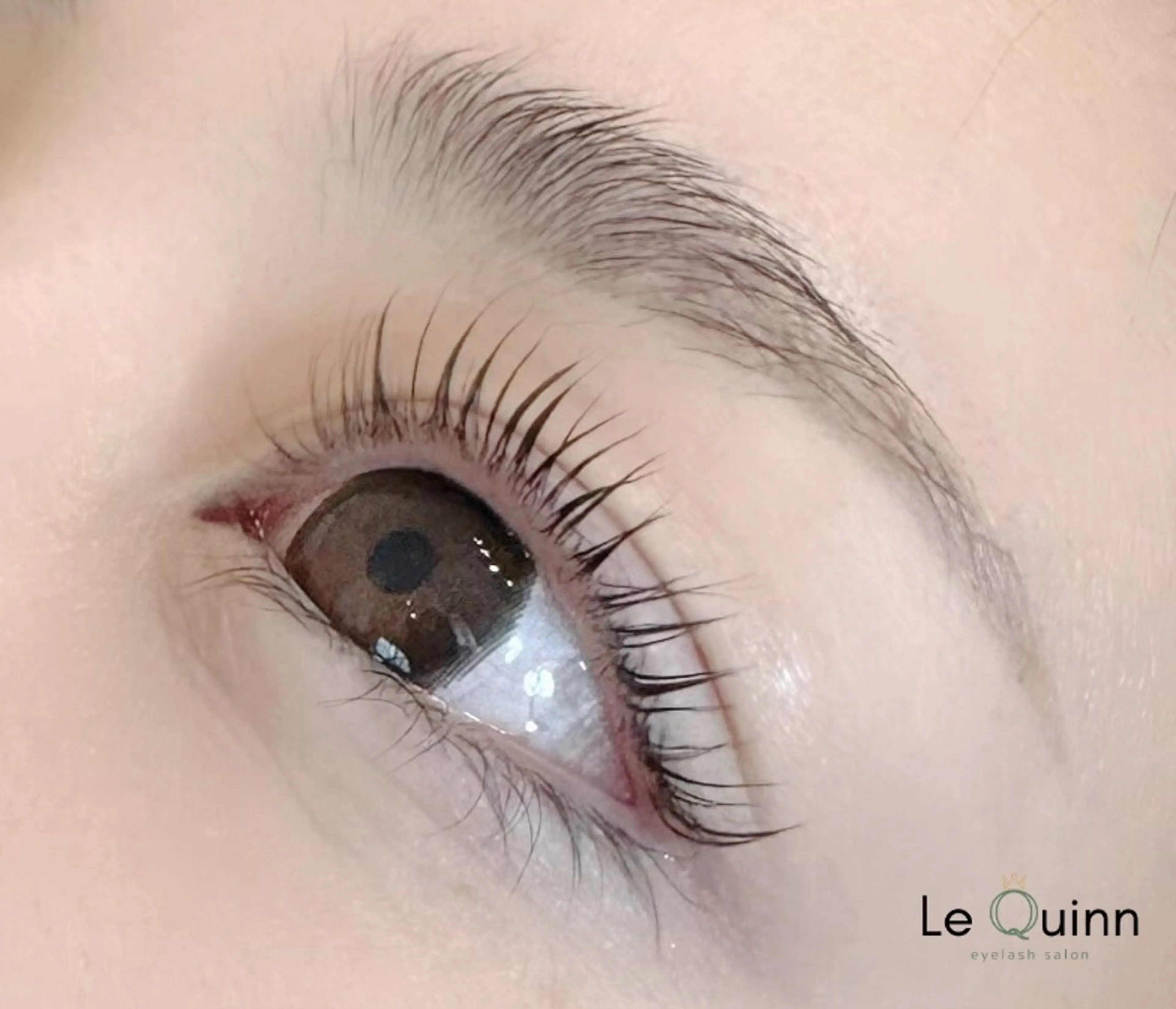 マツエク・マツパ 束感まつ毛 ワンホンマツエク Le Quinn🍃 くれあ/恵比寿のマツエク・マツパデザイン