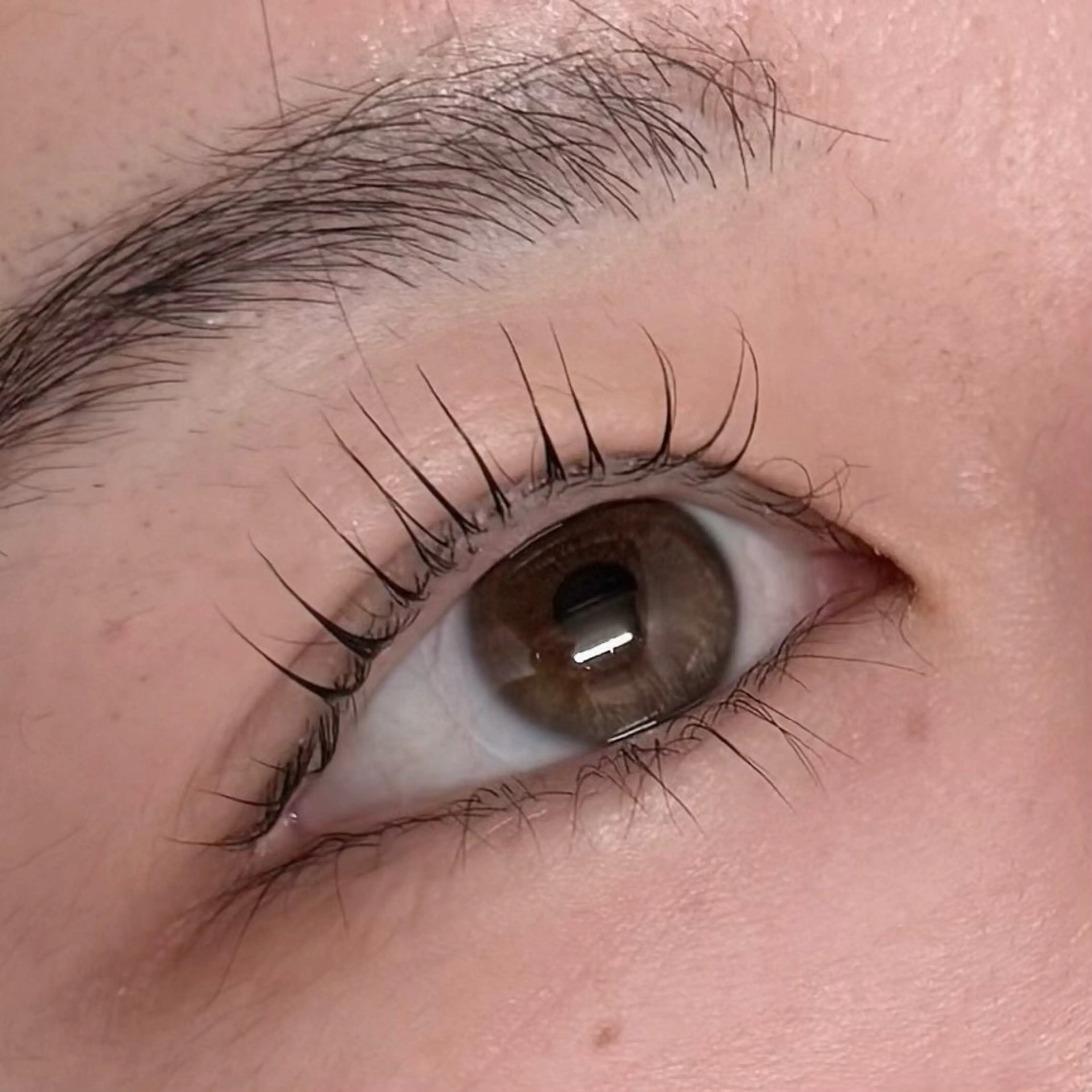 マツエク・マツパ nico eye MAIのマツエク・マツパデザイン