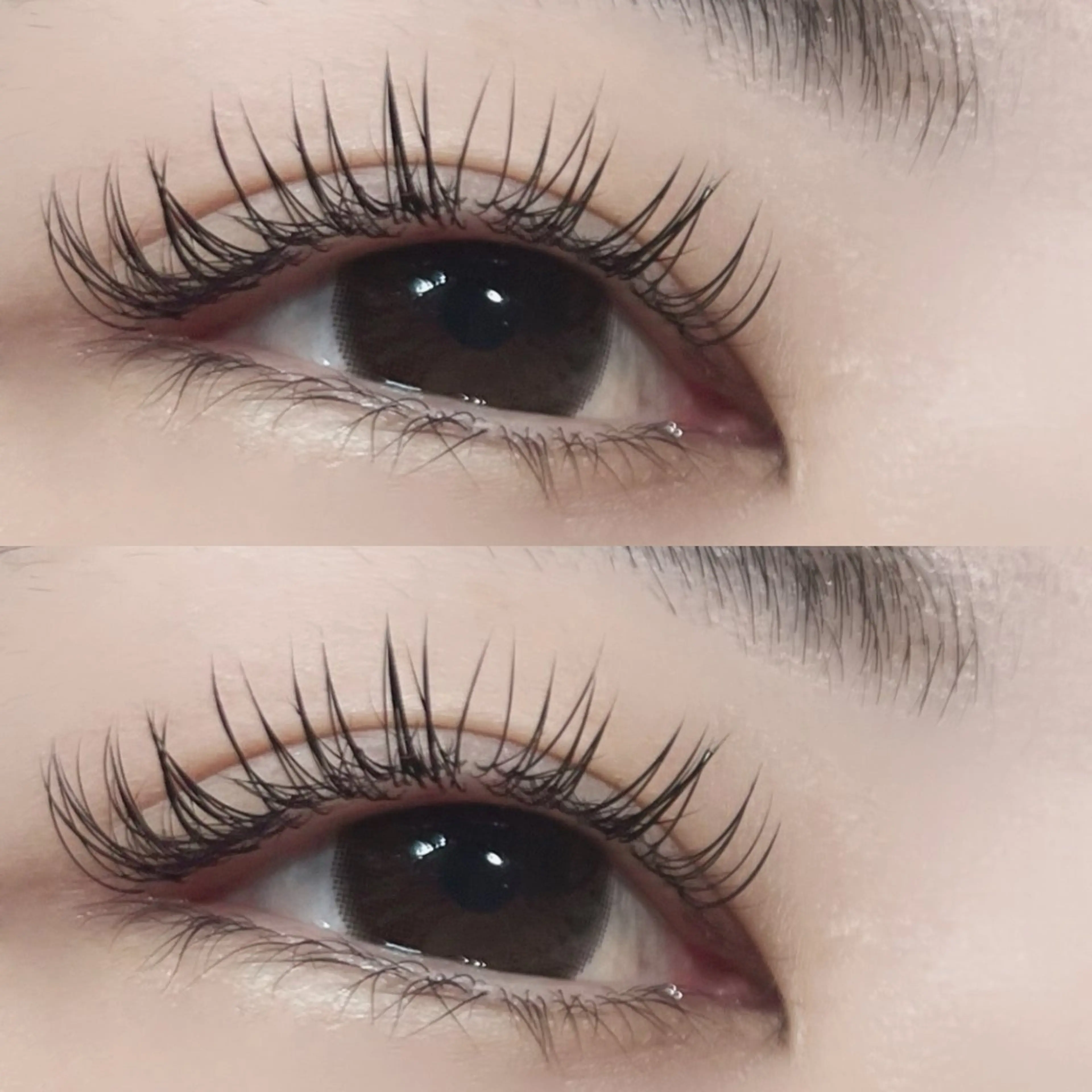 マツエク・マツパ 【LaCLARTE】 京橋各線駅ﾁｶ🩶のマツエク・マツパデザイン