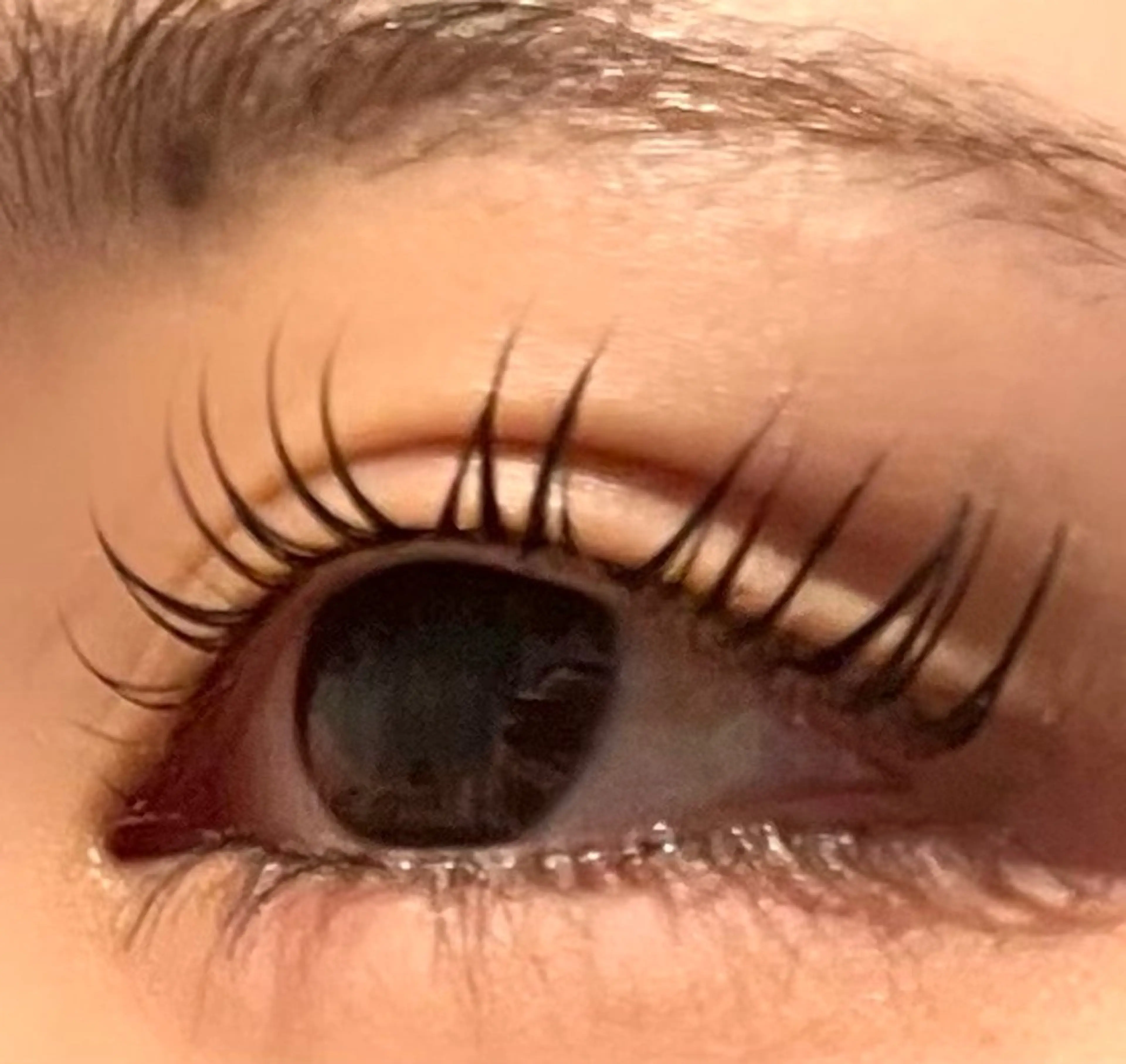 マツエク・マツパ 一重×まつ毛パーマ laugh 🐾Mii🐾のマツエク・マツパデザイン