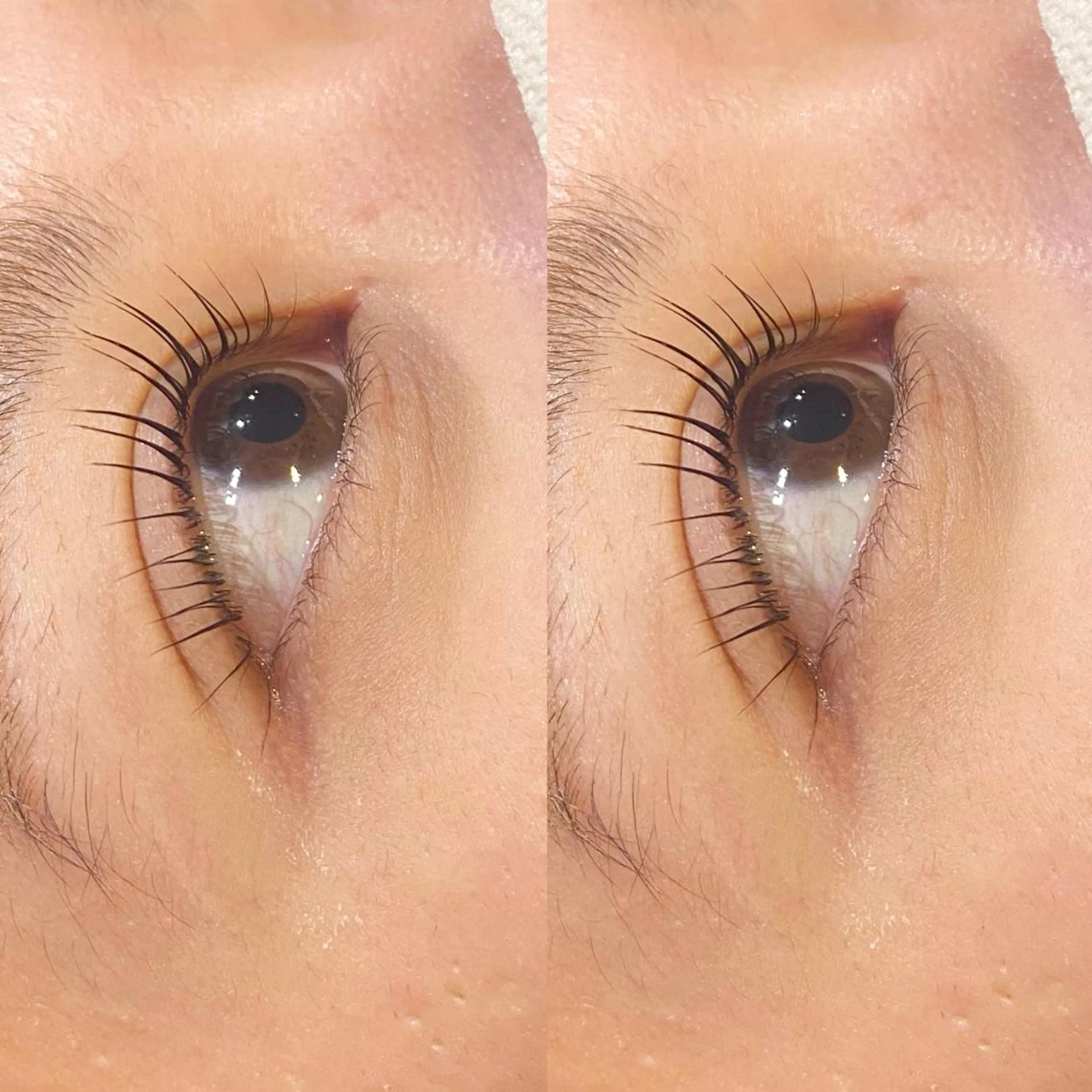 マツエク・マツパ パリジェンヌラッシュリフト マツパ 艶カラー 藤澤さくらのマツエク・マツパデザイン