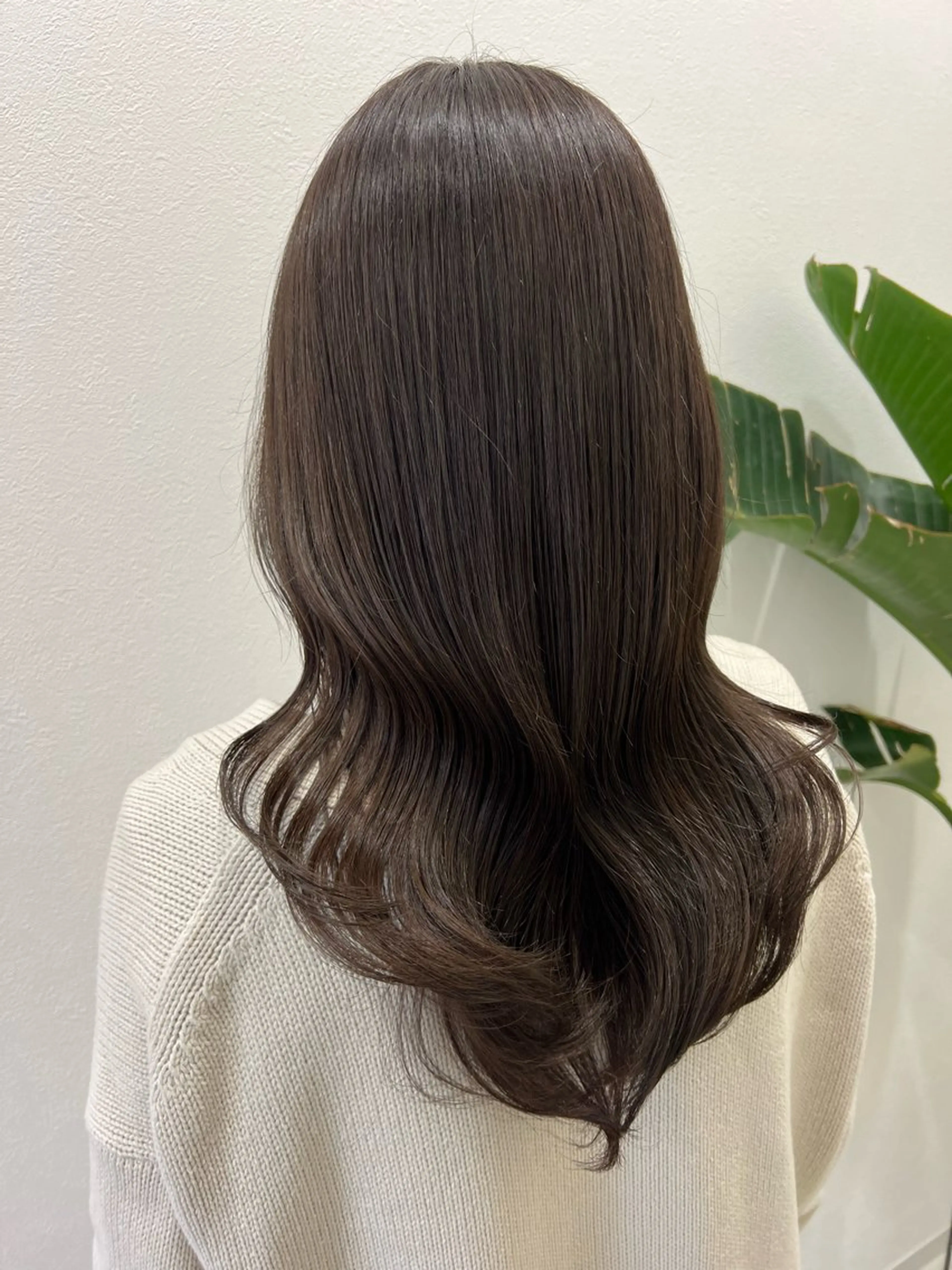 カット+ ダメージレス艶カラー(白髪可) + ケアトリートメント✨の写真