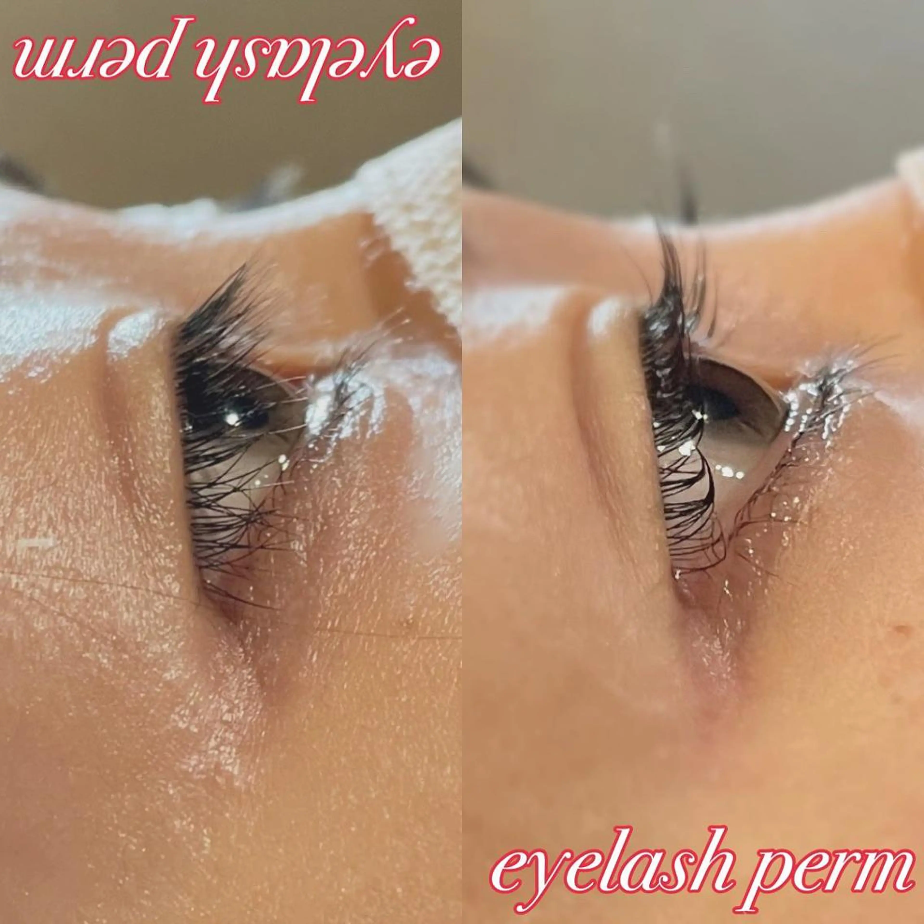 マツエク・マツパ パリジェンヌラッシュリフト まつげパーマ sara 荒井店のヘアスタイル