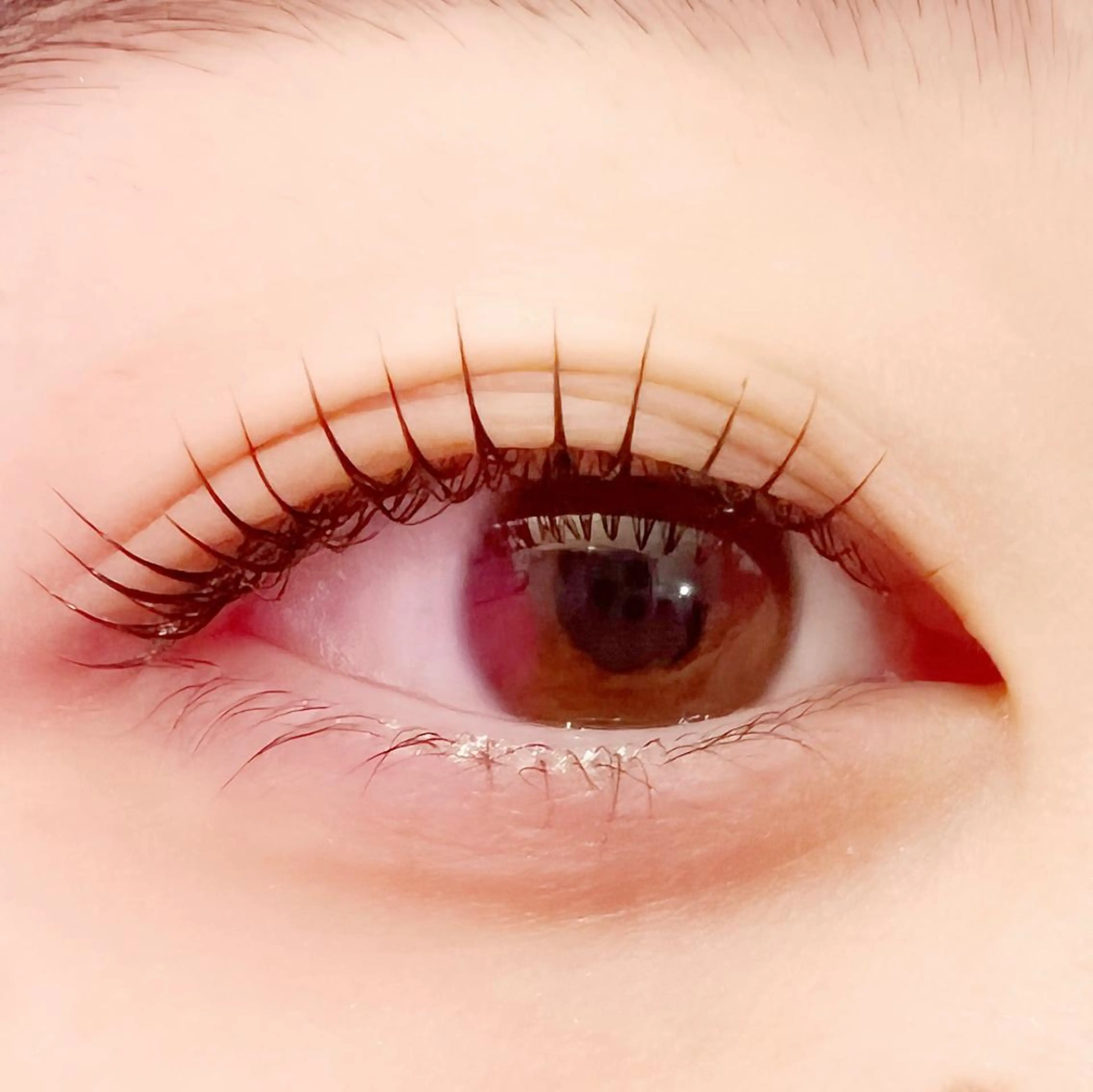 マツエク・マツパ ケラチンラッシュリフト パリジェンヌラッシュリフト 🧸Celeste Venusのマツエク・マツパデザイン