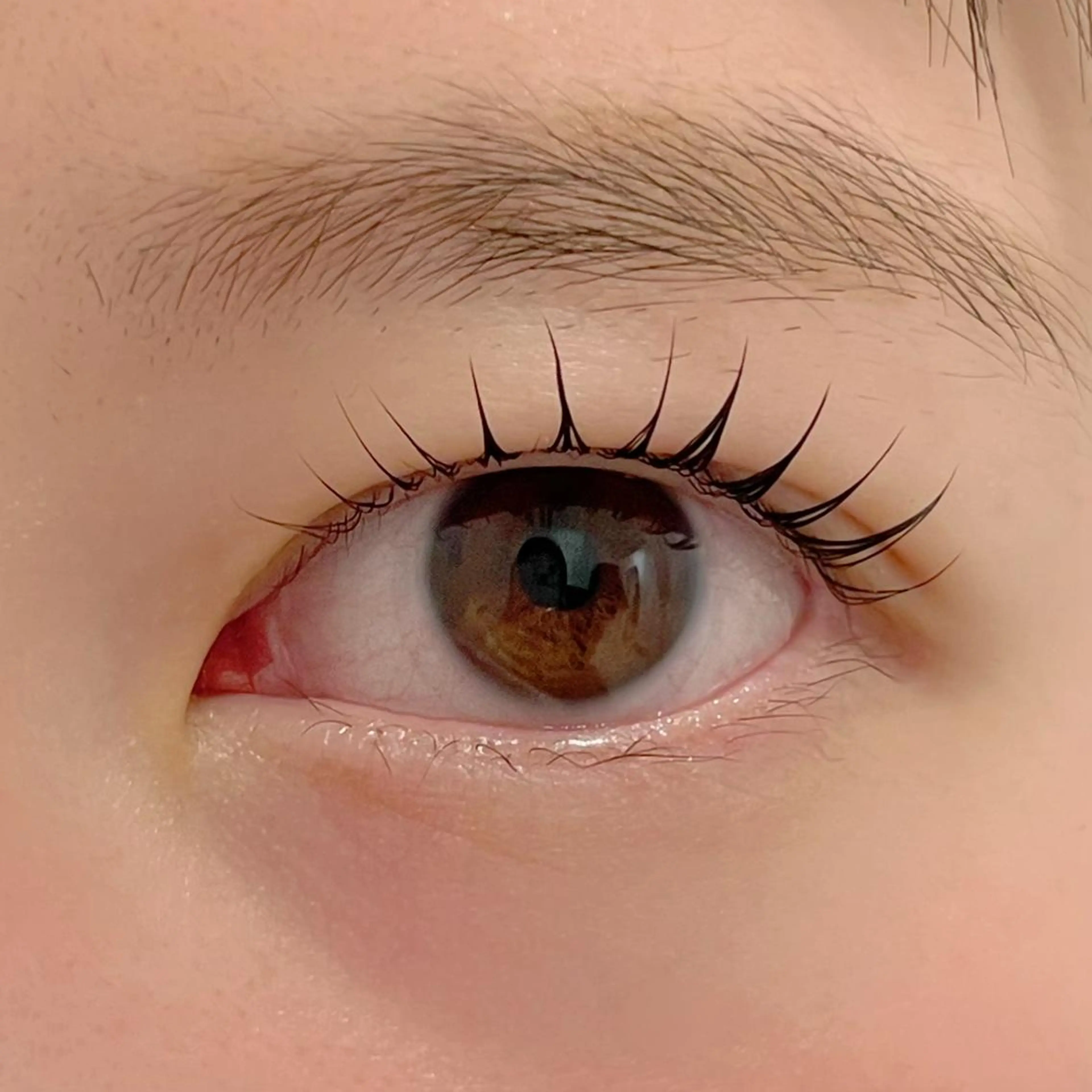 マツエク・マツパ パリジェンヌラッシュリフト まつげパーマ ai一重専門🎀束感 まつげ🫧表参道のマツエク・マツパデザイン