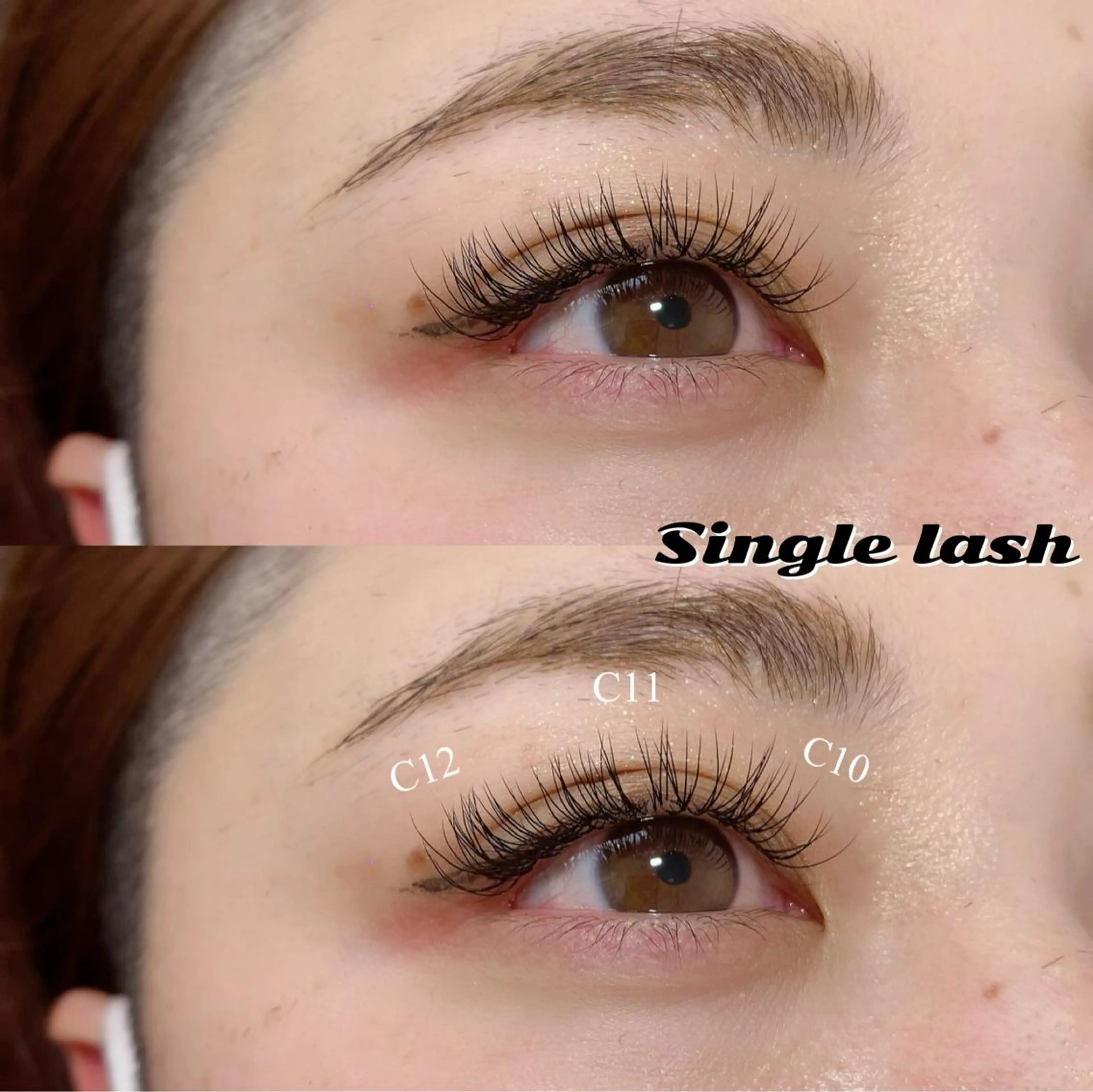 セーブル140本(オフ込み)の写真