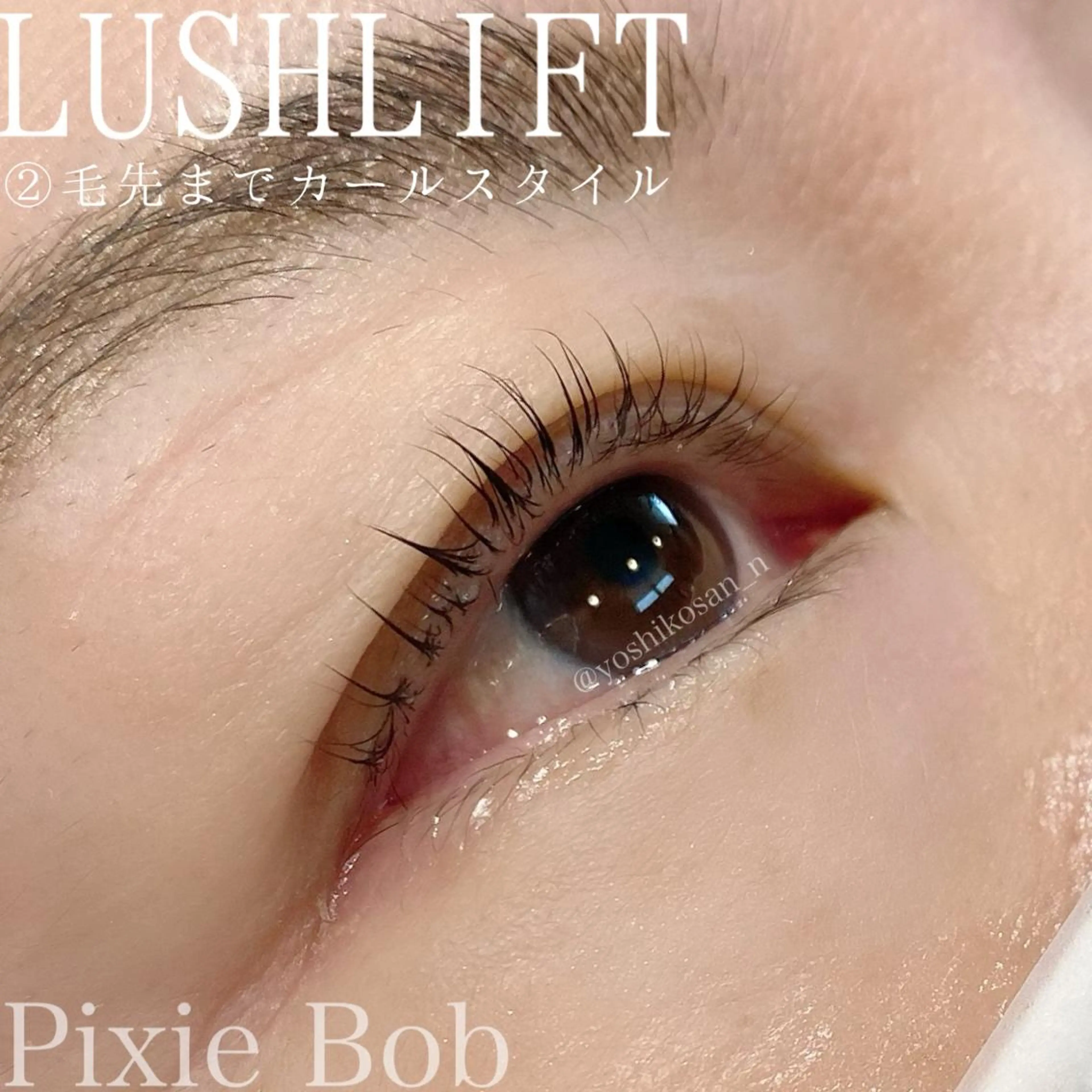 マツエク・マツパ カラーマツエク Pixie Bob 🐈‍⬛　位田のマツエク・マツパデザイン