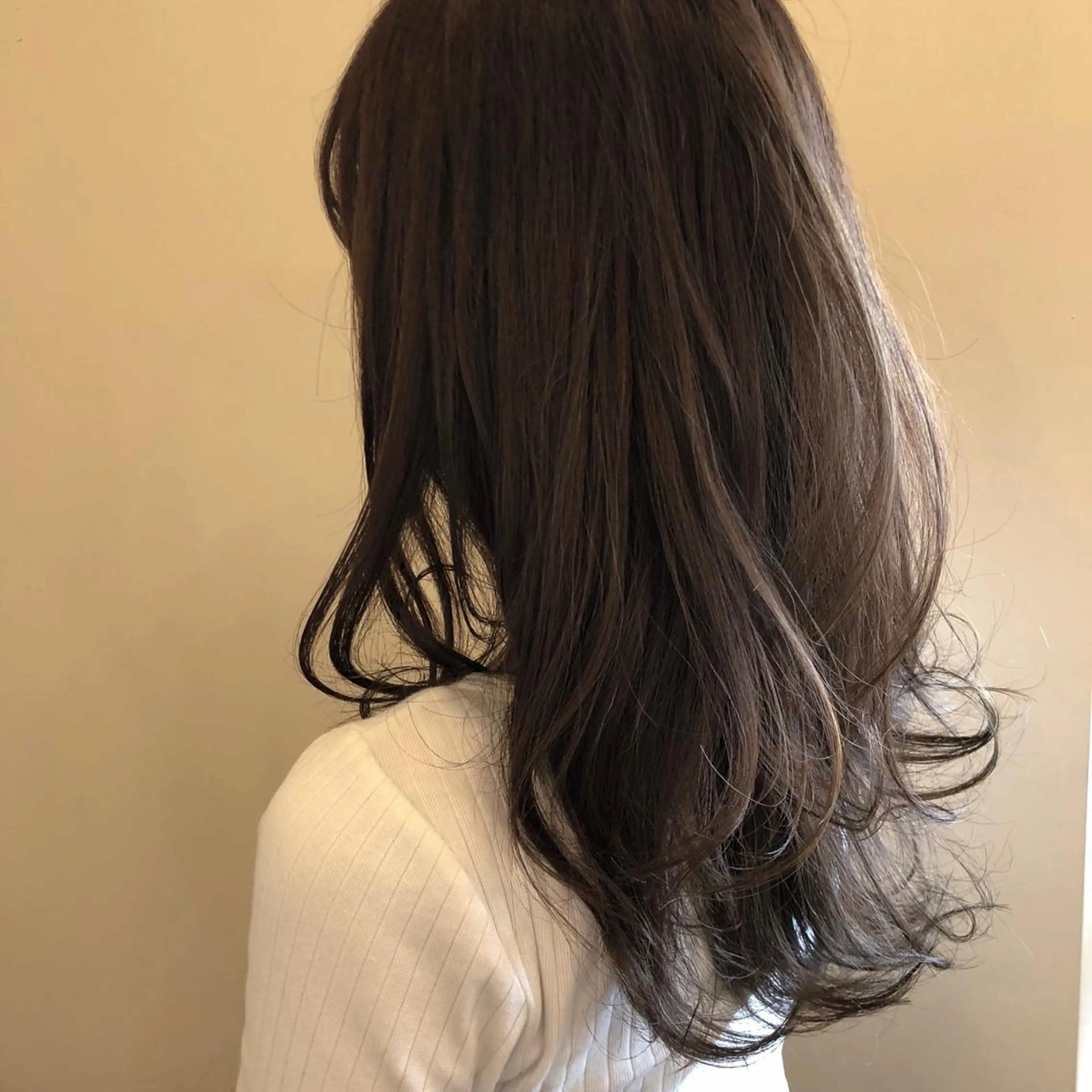 セミロング カラー 【ショート特化】 森本　祐太のヘアスタイル