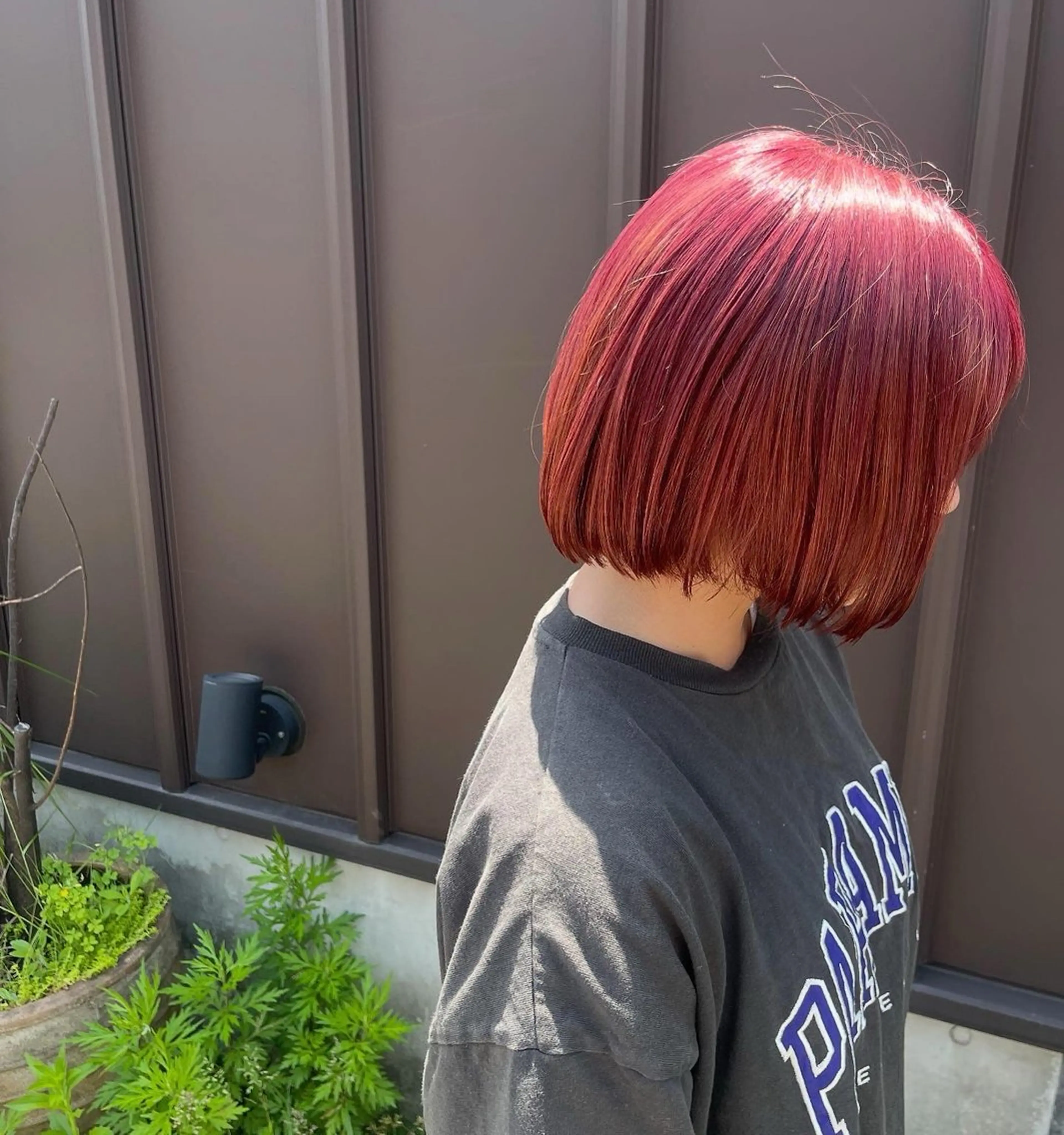 【4月限定クーポン🌸】メンテナンスカット+カラー+全体ブリーチ+ケアトリートメントの写真