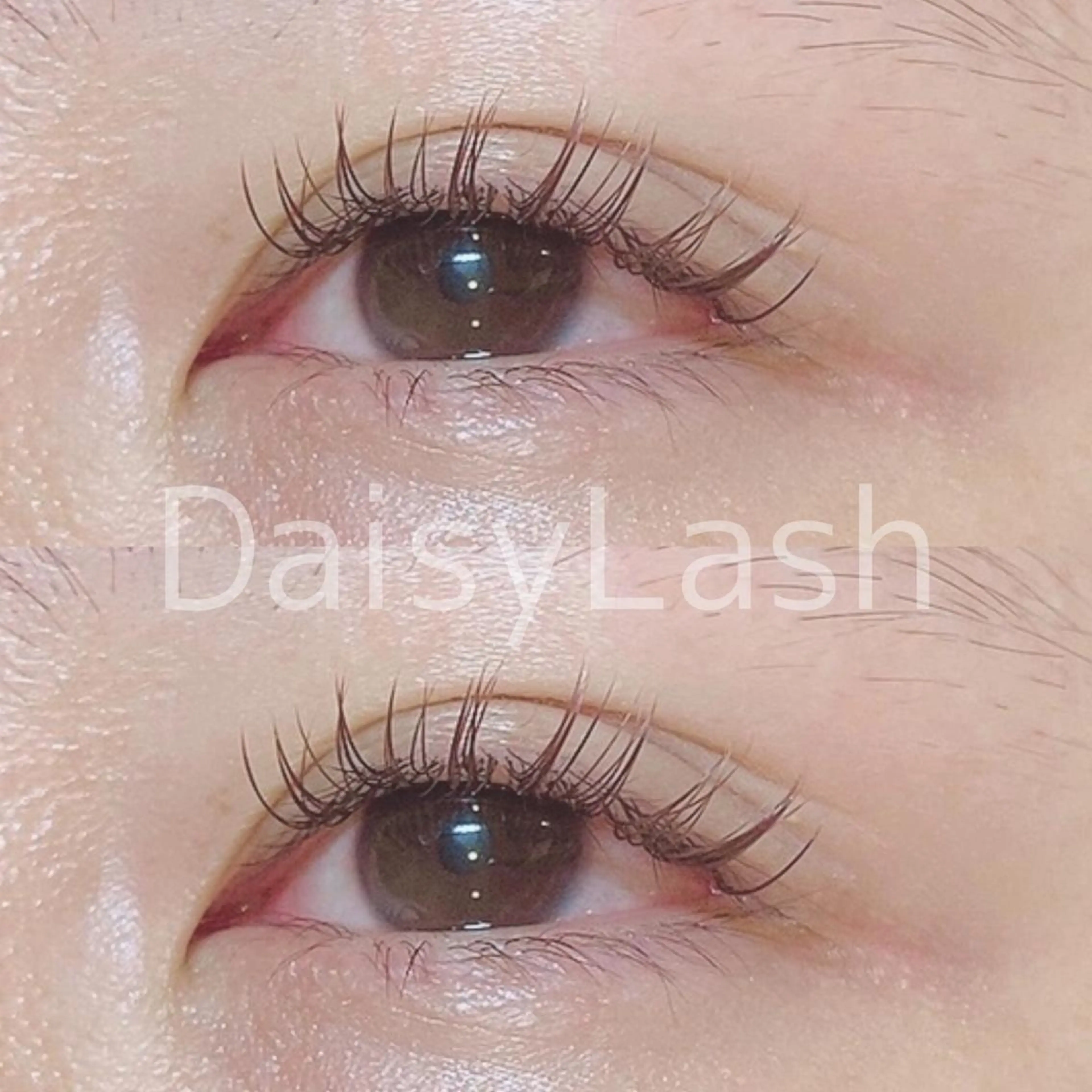 マツエク・マツパ DaisyLash 京橋店のマツエク・マツパデザイン