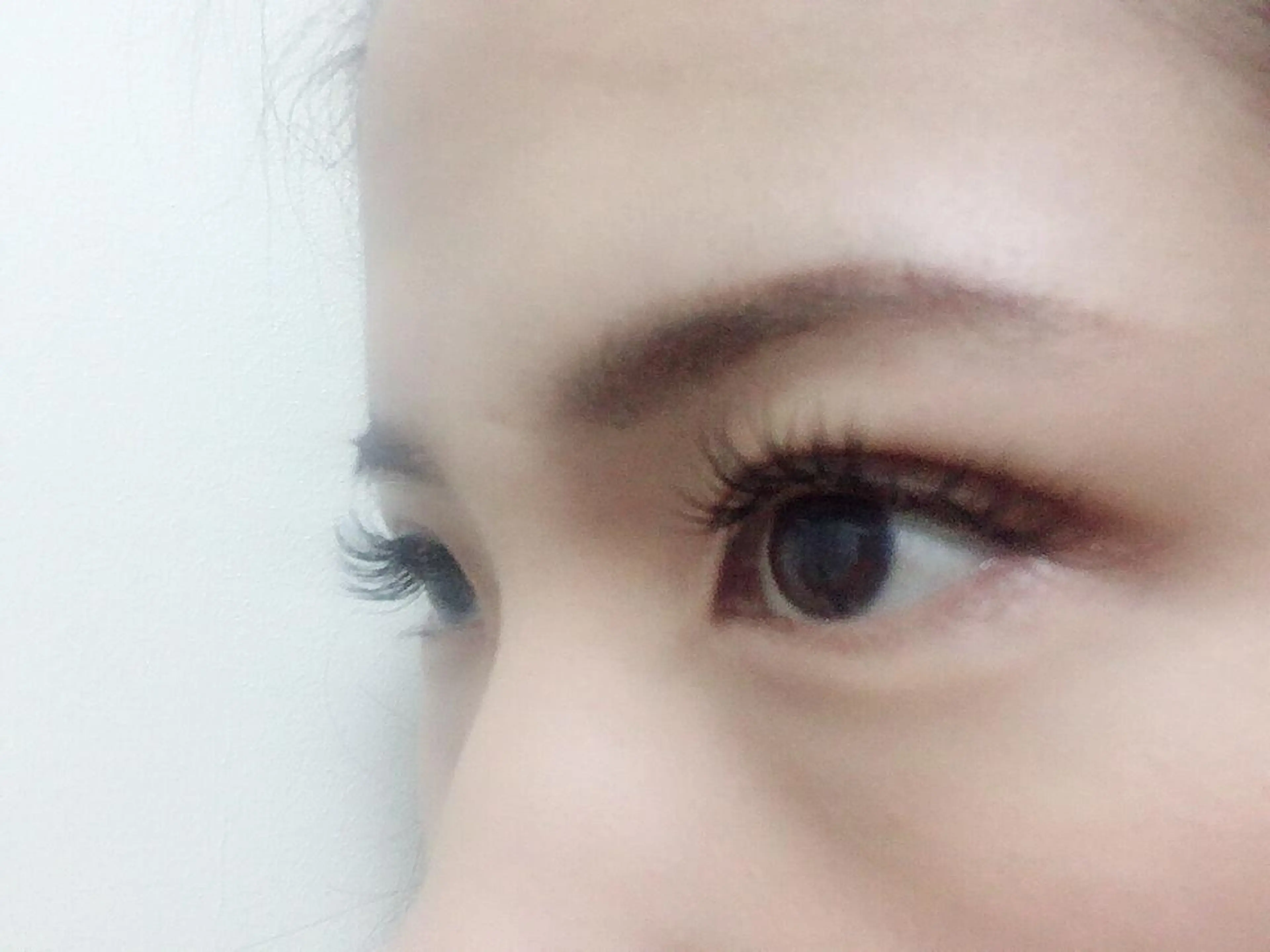 マツエク・マツパ 🌼 momoの眉毛・アイブロウイメージ