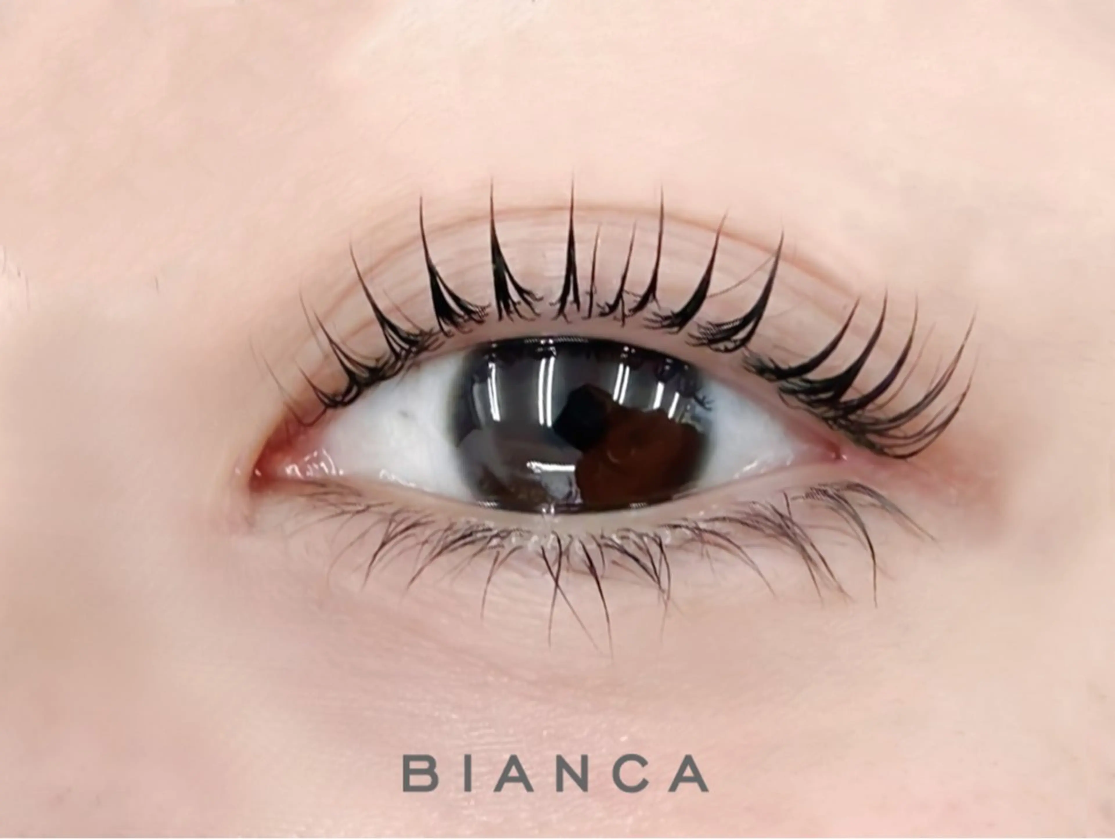 【平日限定‼️】まつげパーマ上下 ¥5830 府中/府中本町/調布の写真