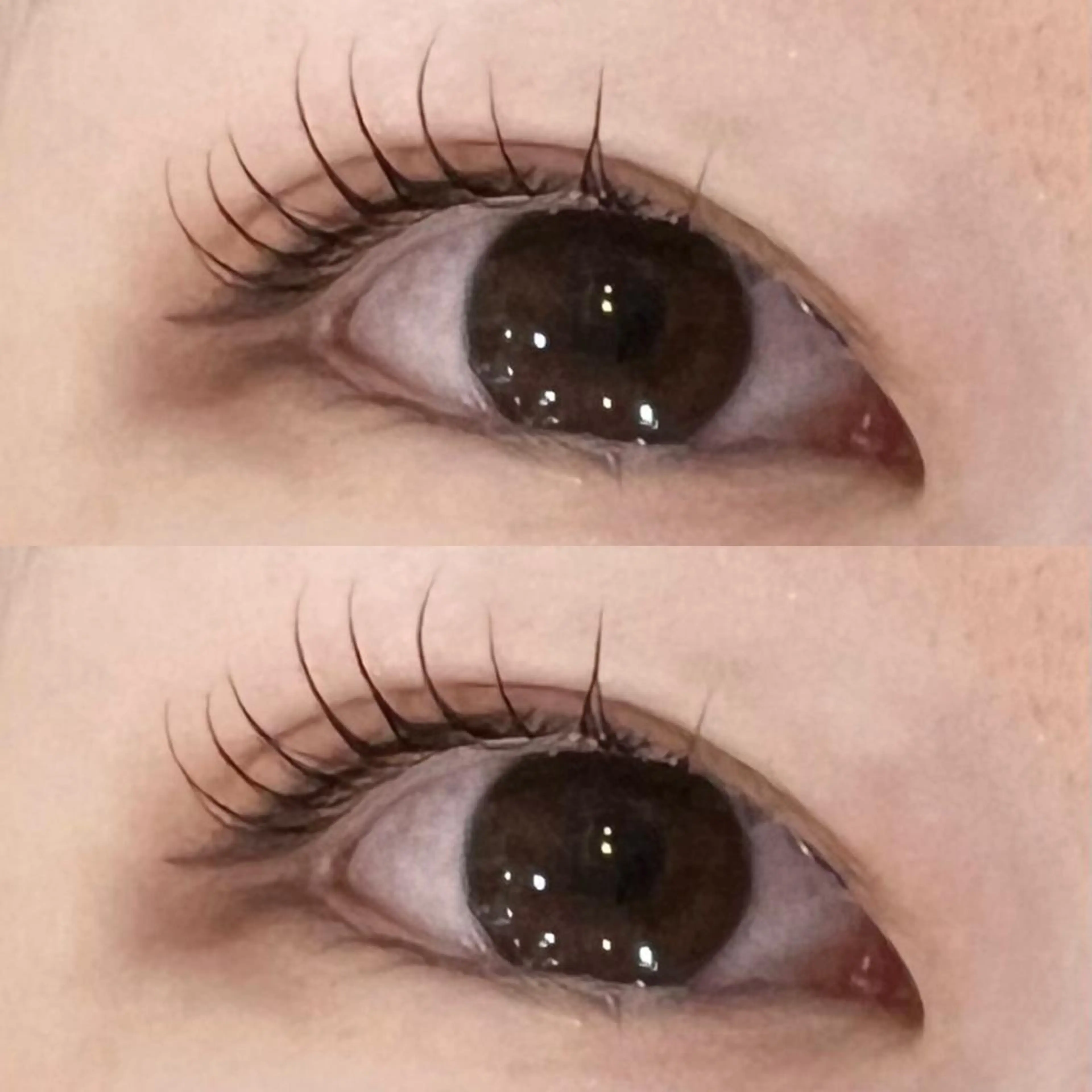 似合わせまつ毛パーマ+アイシャンプー🫧の写真