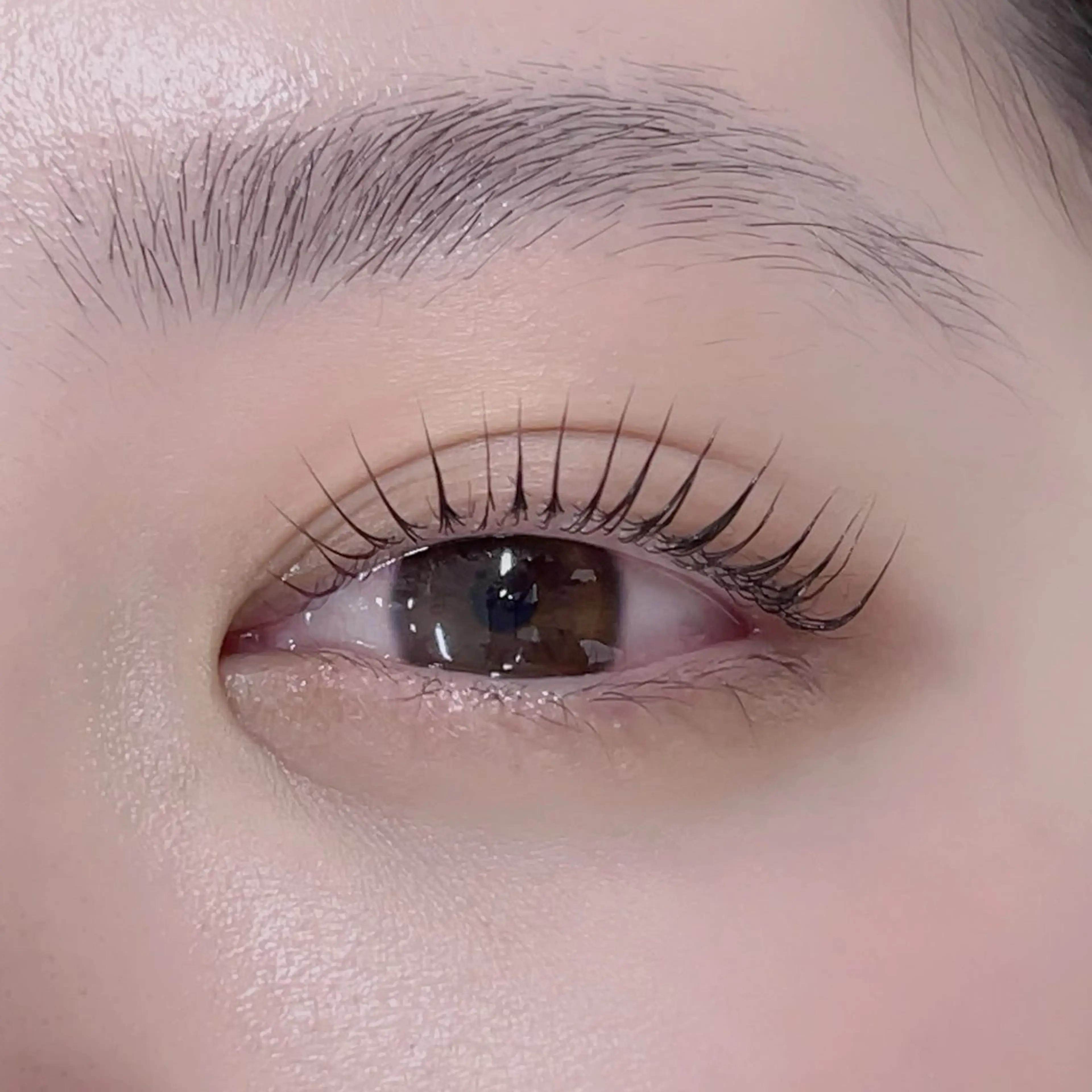 マツエク・マツパ R🌹 ⁺⊹˚.のマツエク・マツパデザイン