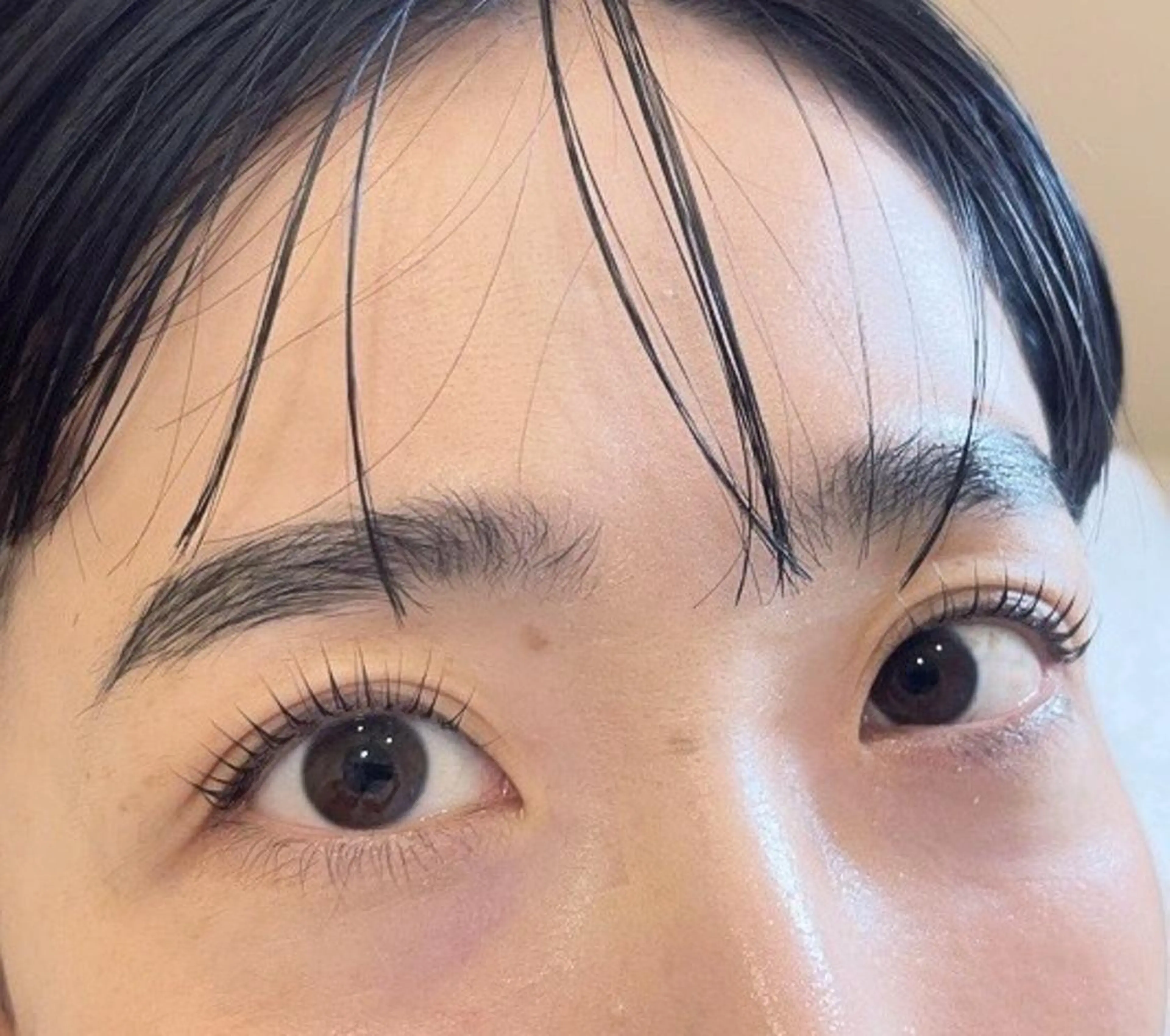 【束感♡⃜】ラッシュリフト(パーマを当てる段階で束を作りやすい施術を行います🌿)の写真