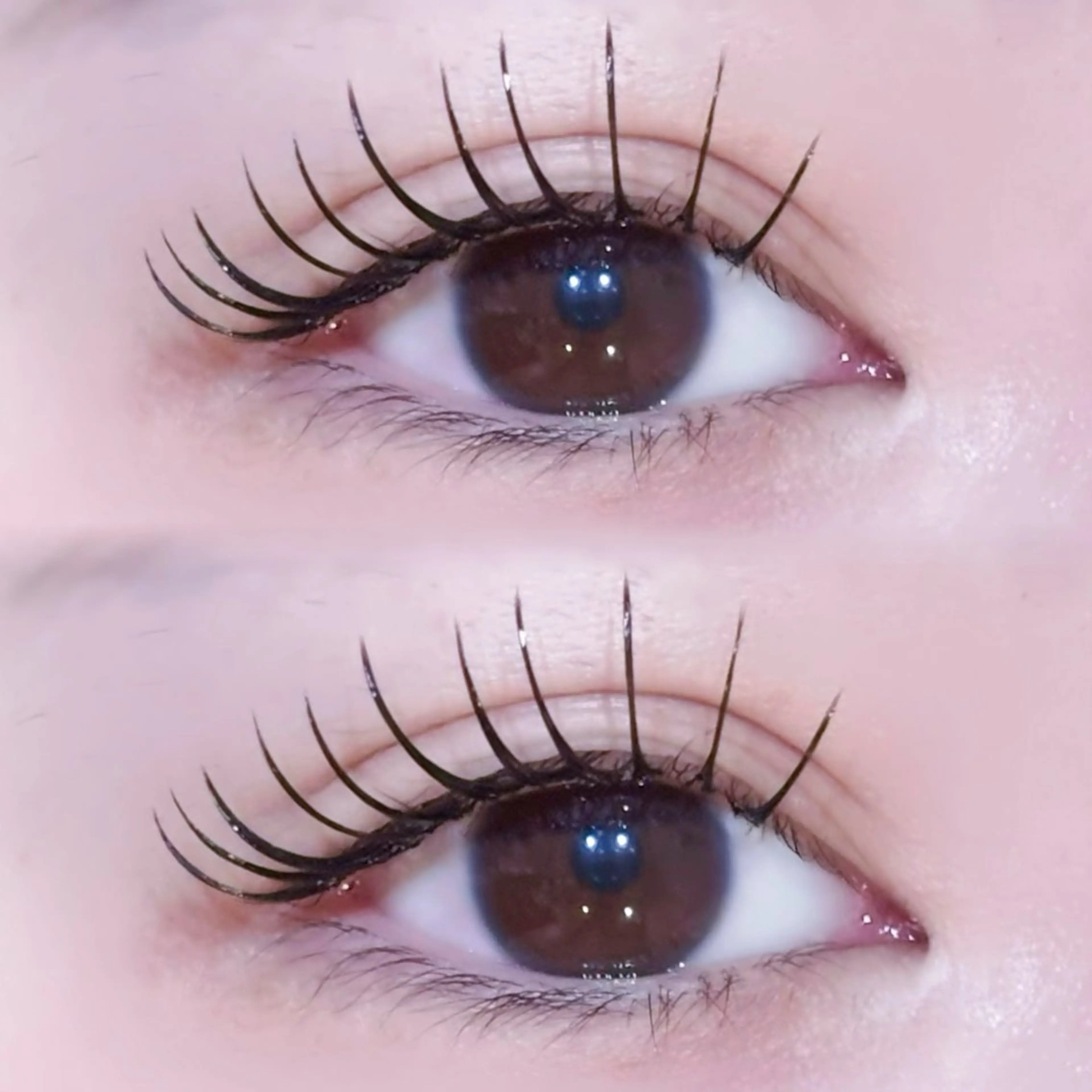 マツエク・マツパ EYELA🤍 蓜島のマツエク・マツパデザイン