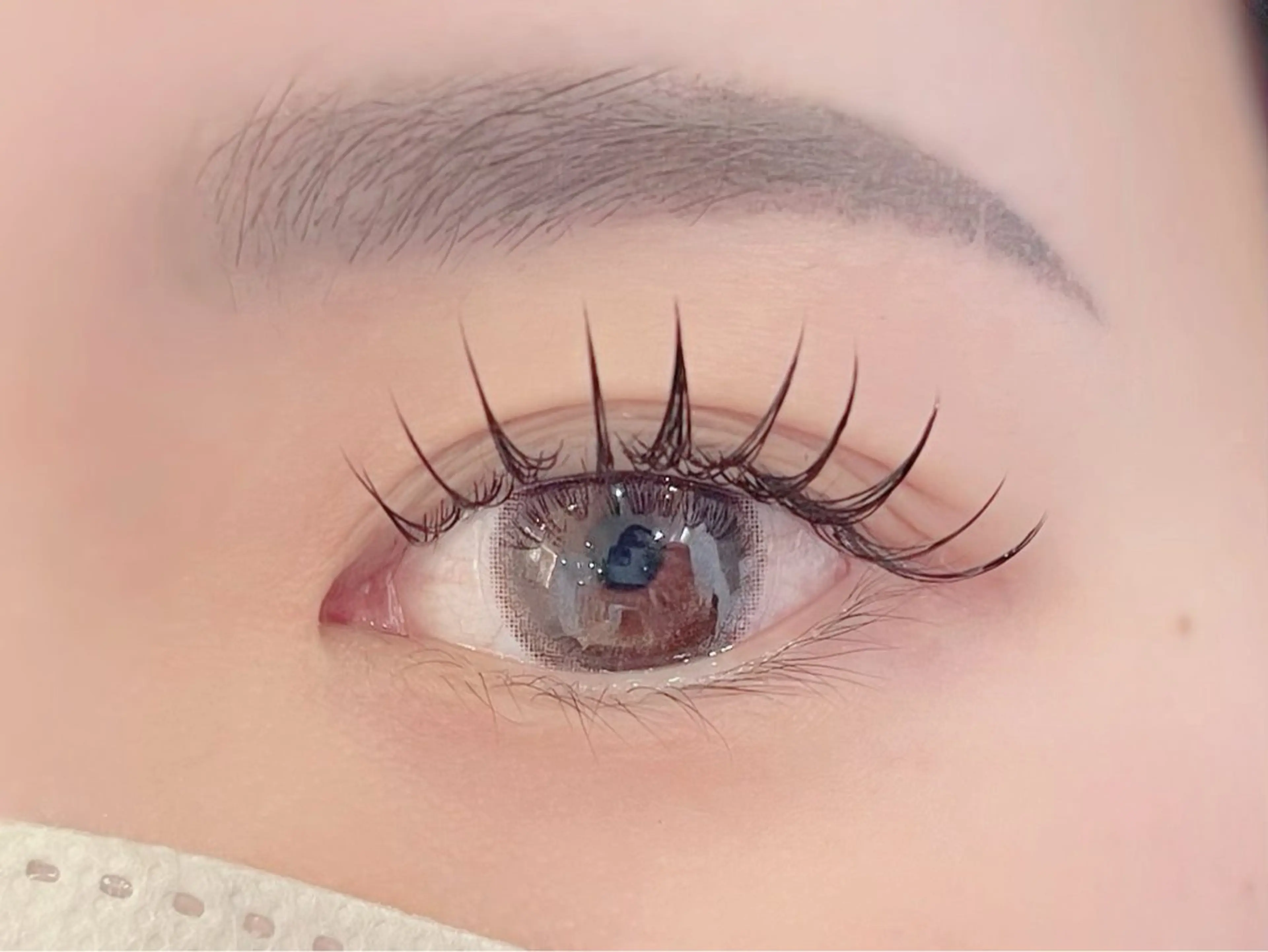 ◇新規◇フラットセーブル100本¥4500◇再来¥5500◇の写真