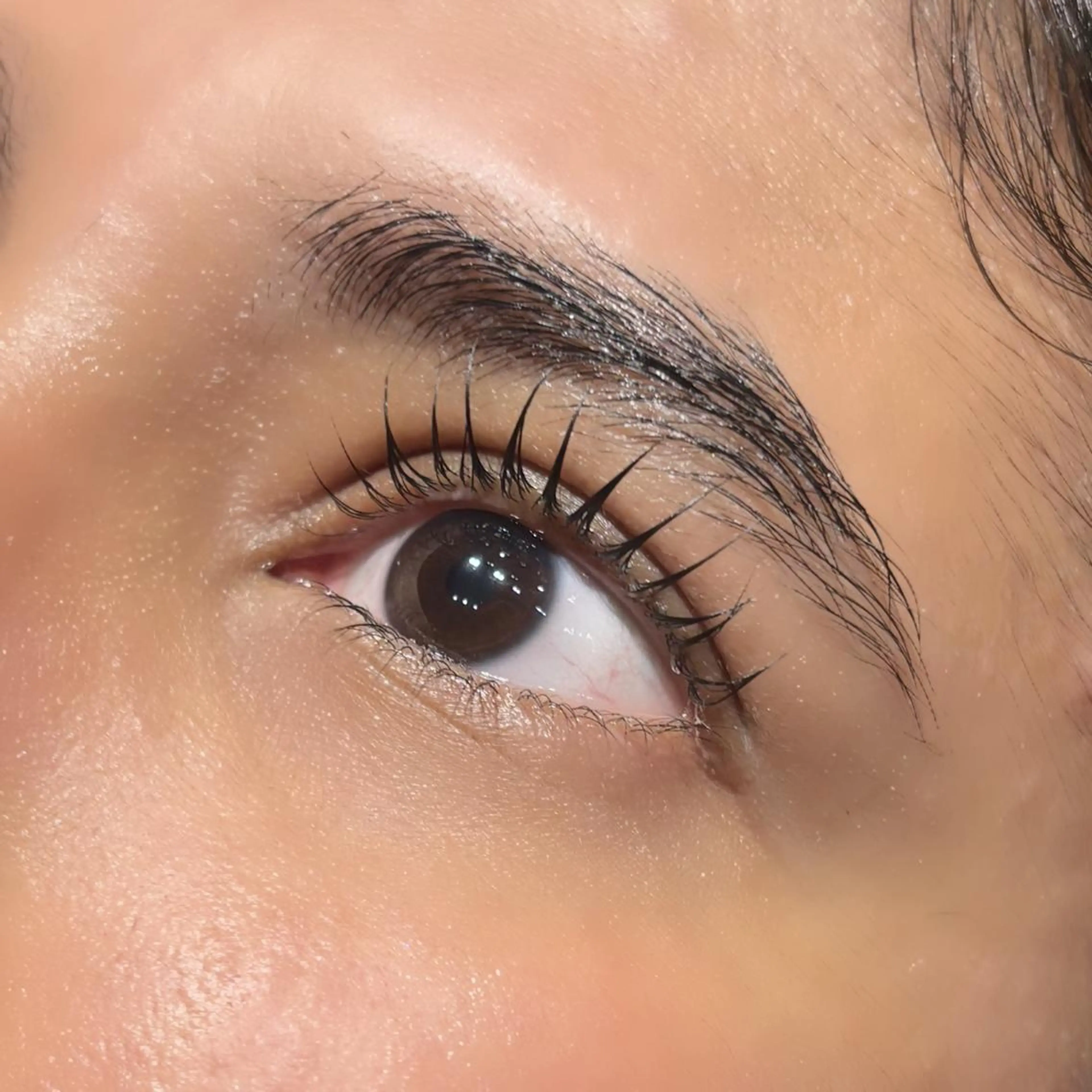 マツエク・マツパ マツパ 最強美髪💙ྀི/ アイ兼任👀/ミナルのヘアスタイル