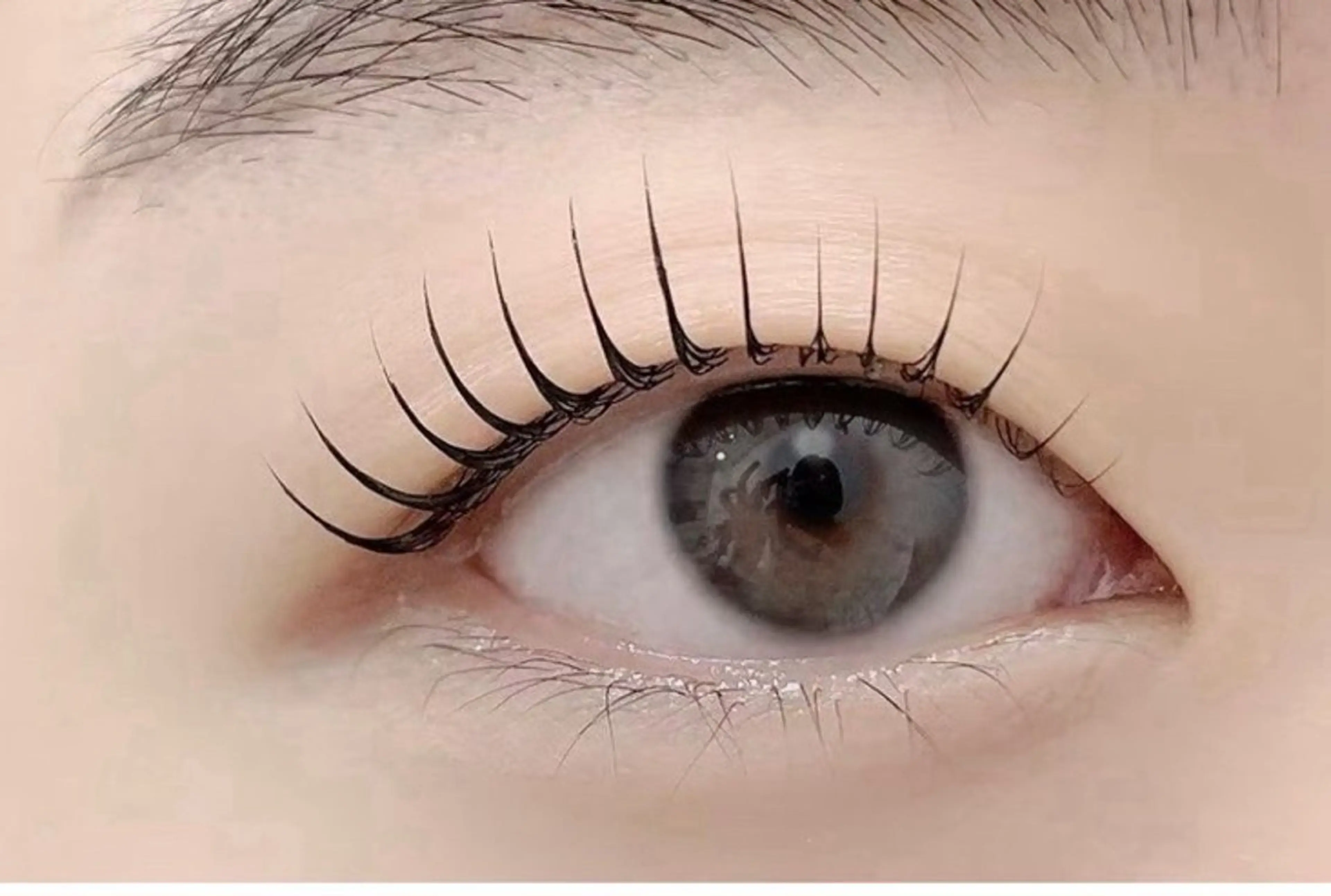 新規限定✨パリゼェンヌラッシュリフト（束感美容液付き）の写真