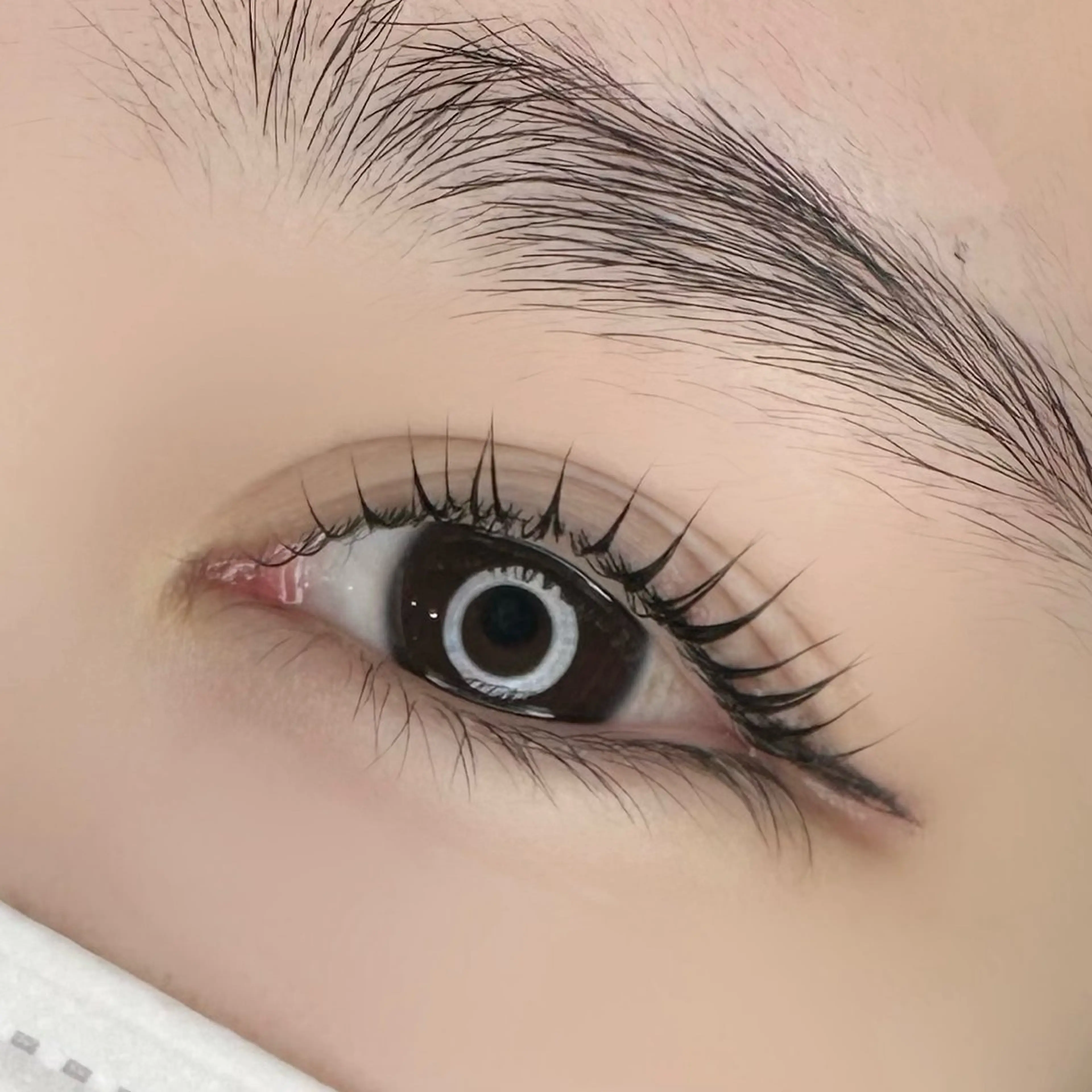 マツエク・マツパ アイブロウ パリジェンヌラッシュリフト 坂口 月陽のヘアスタイル