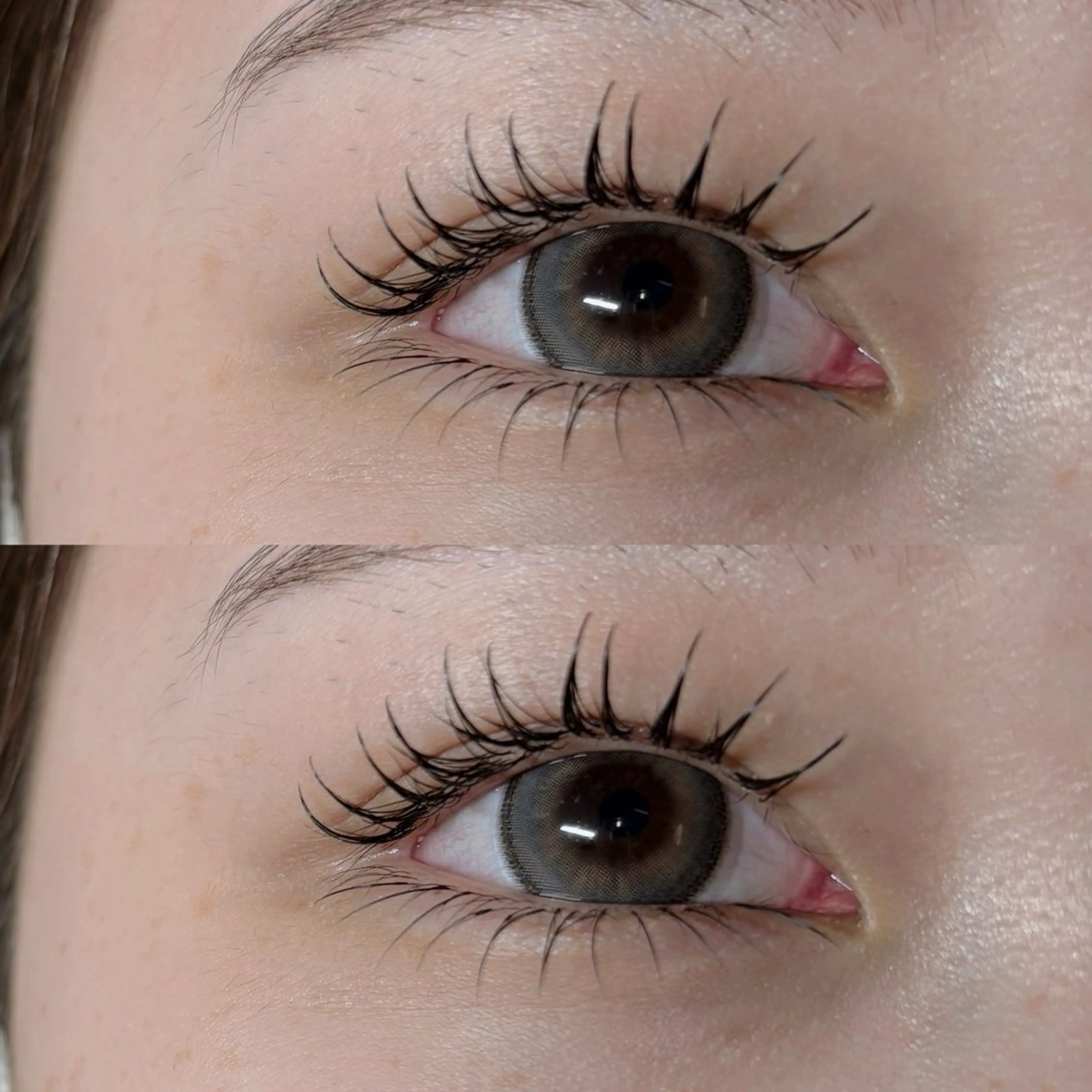 最新LEDマツエク💖100本+下20本+アイシャンプー※offあり+550円※の写真