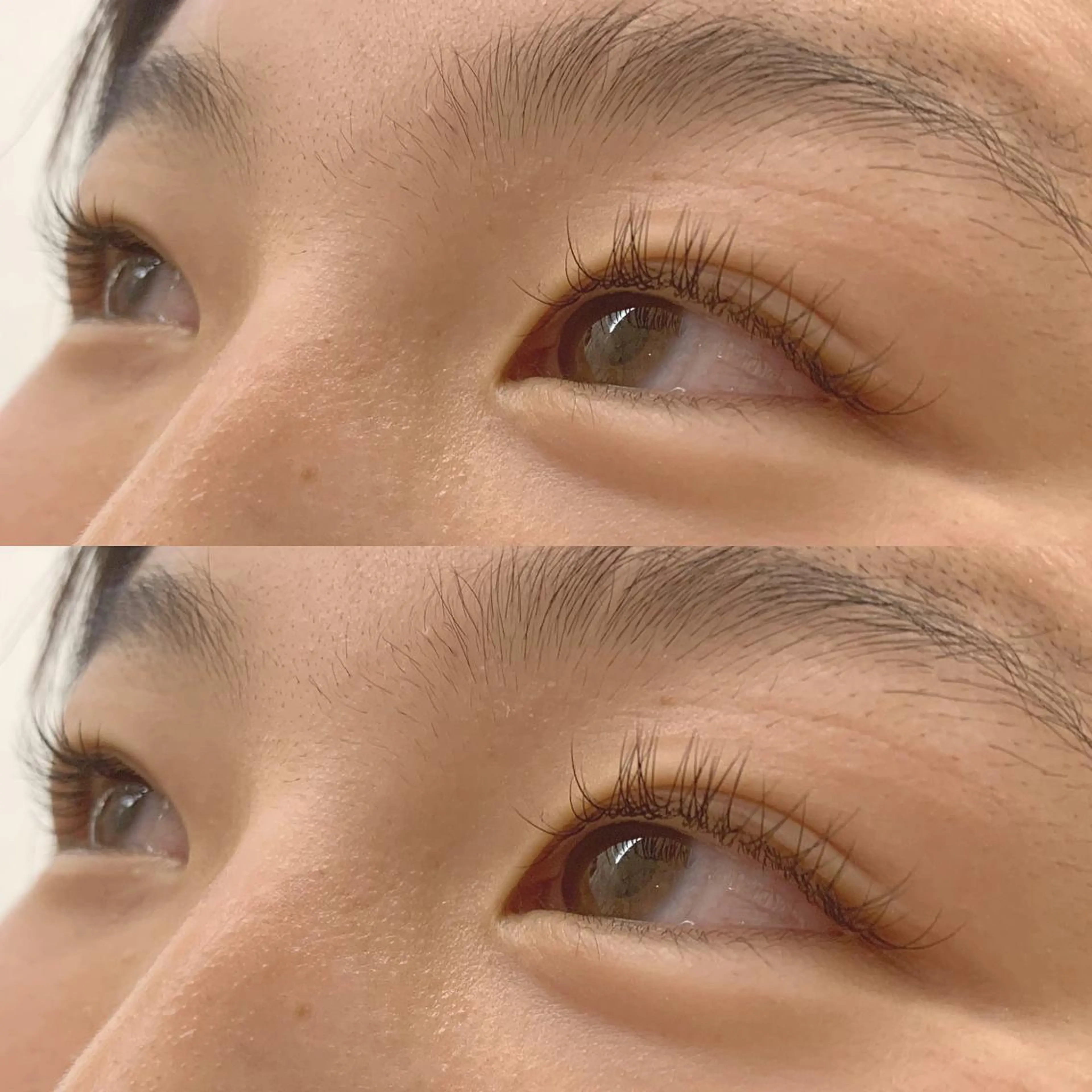 マツエク・マツパ キュート ナチュラル joieange 🕊️のマツエク・マツパデザイン