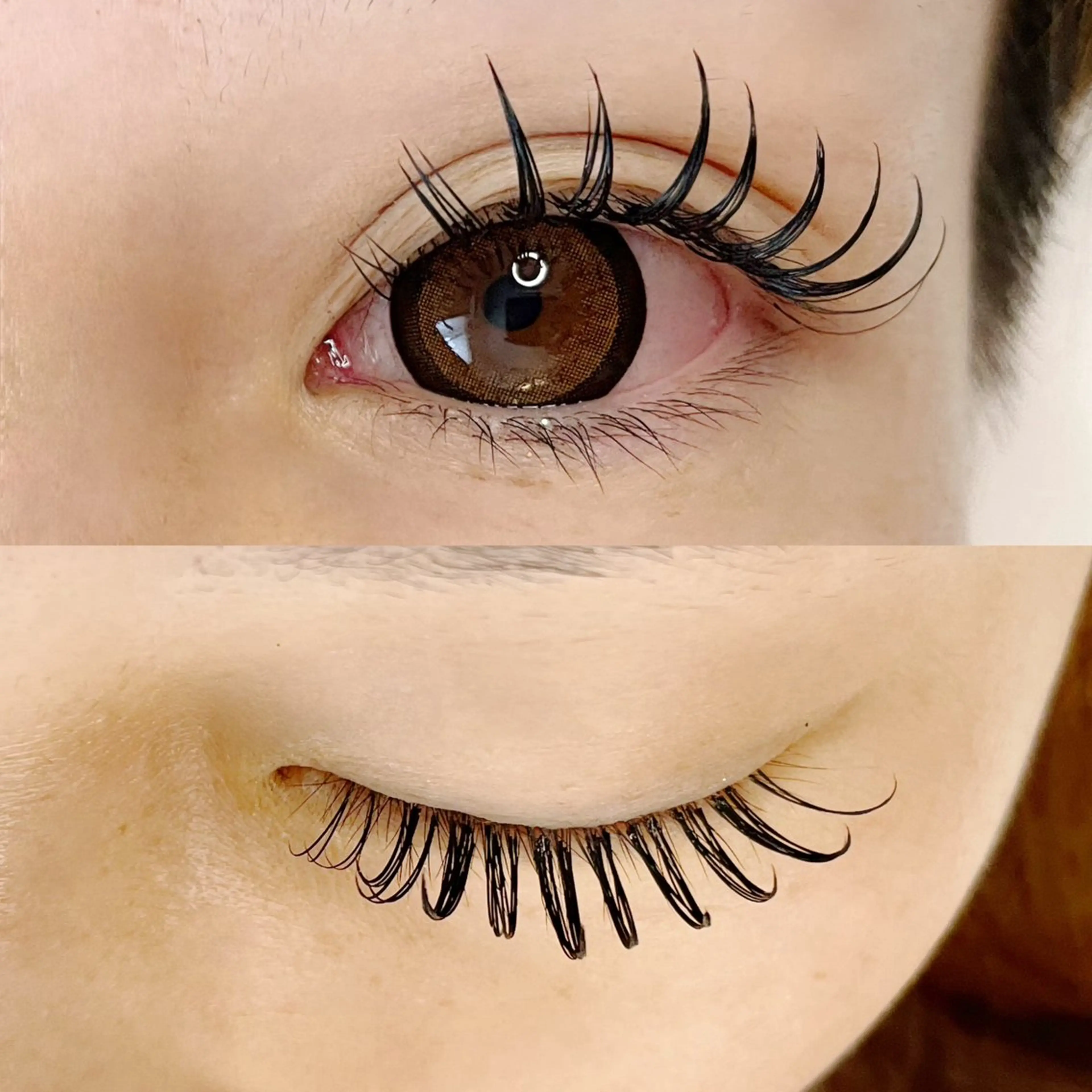 【フラットプラス付け足し専用】40束80本の写真