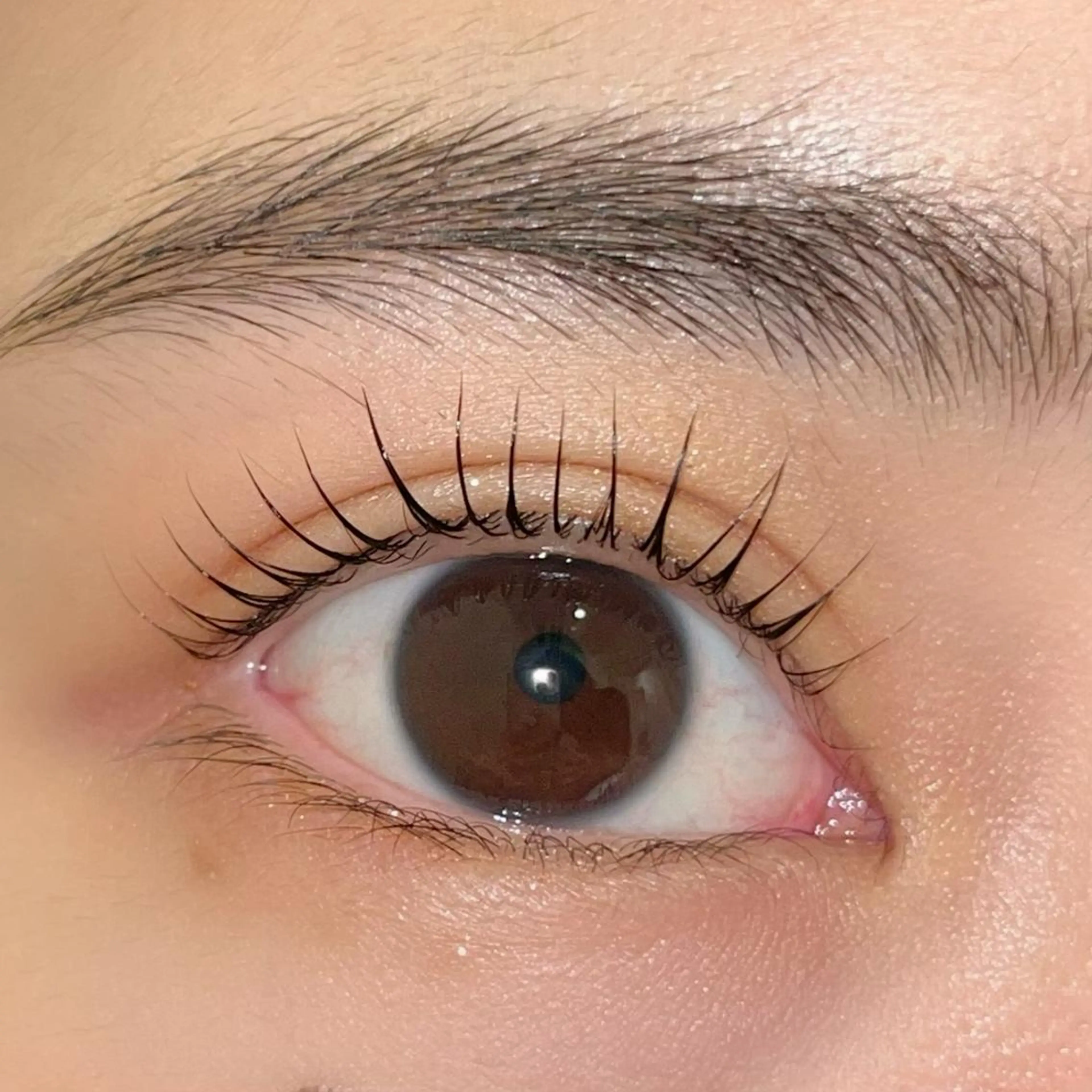 マツエク・マツパ パリジェンヌラッシュリフト まつげパーマ ai一重専門🎀束感 まつげ🫧表参道のマツエク・マツパデザイン