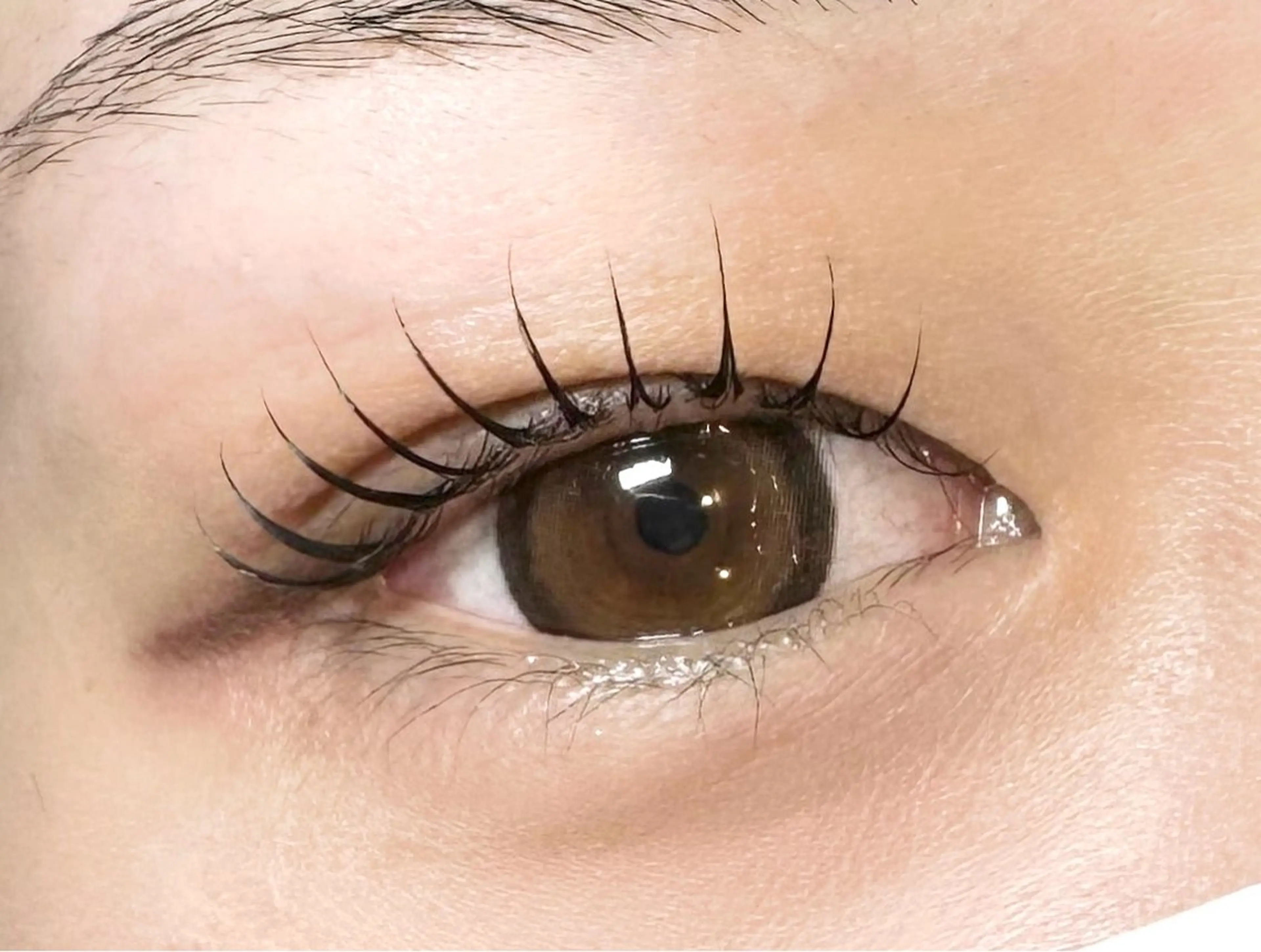 【❤️‍🔥ミニモ限定価格🐺】パリジェンヌラッシュリフト🌙¥5060の写真