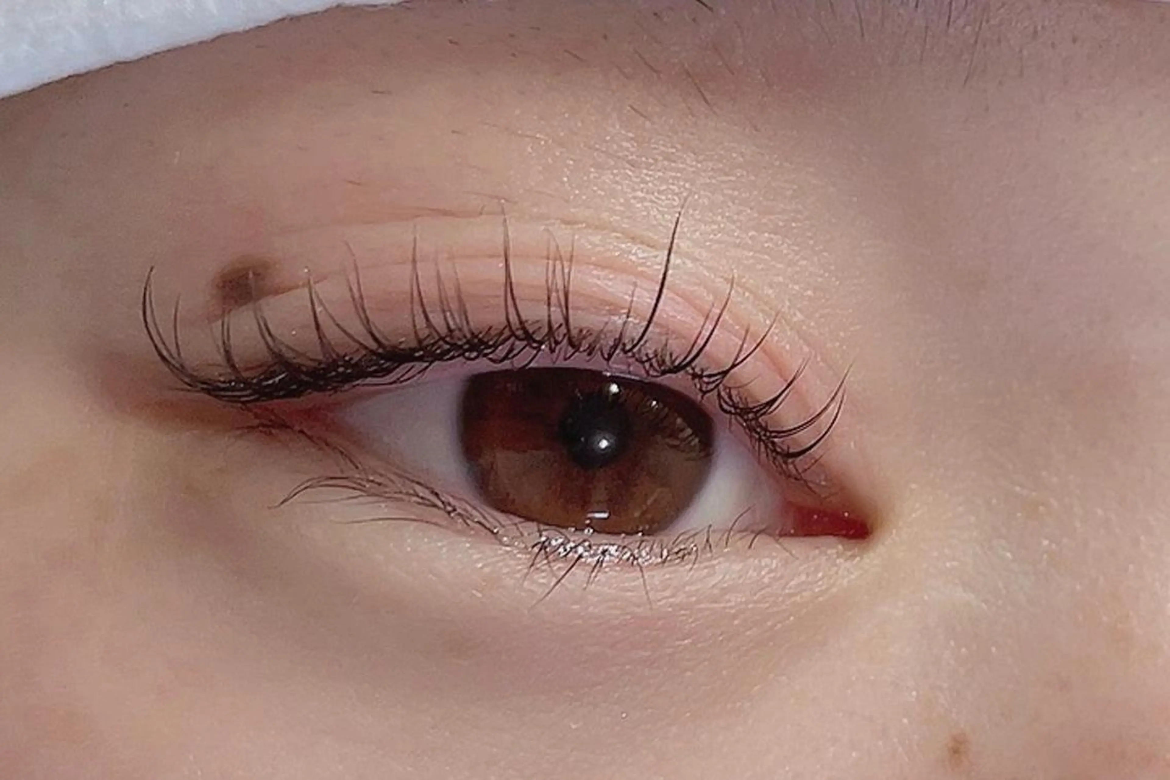 マツエク・マツパ 一重×まつ毛パーマ Eyelash ＊Freakのマツエク・マツパデザイン