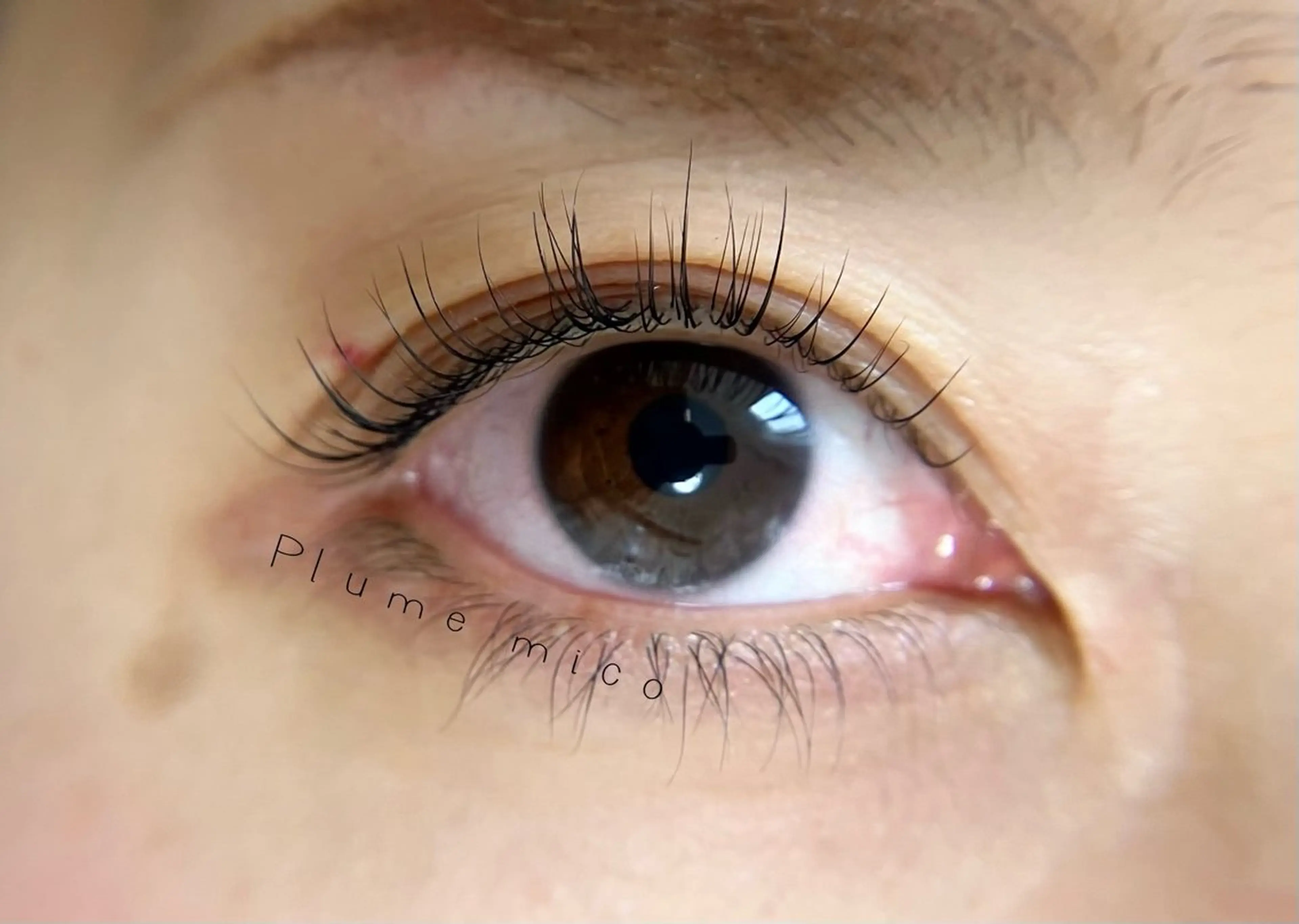 マツエク・マツパ マツパ Plume micoのマツエク・マツパデザイン