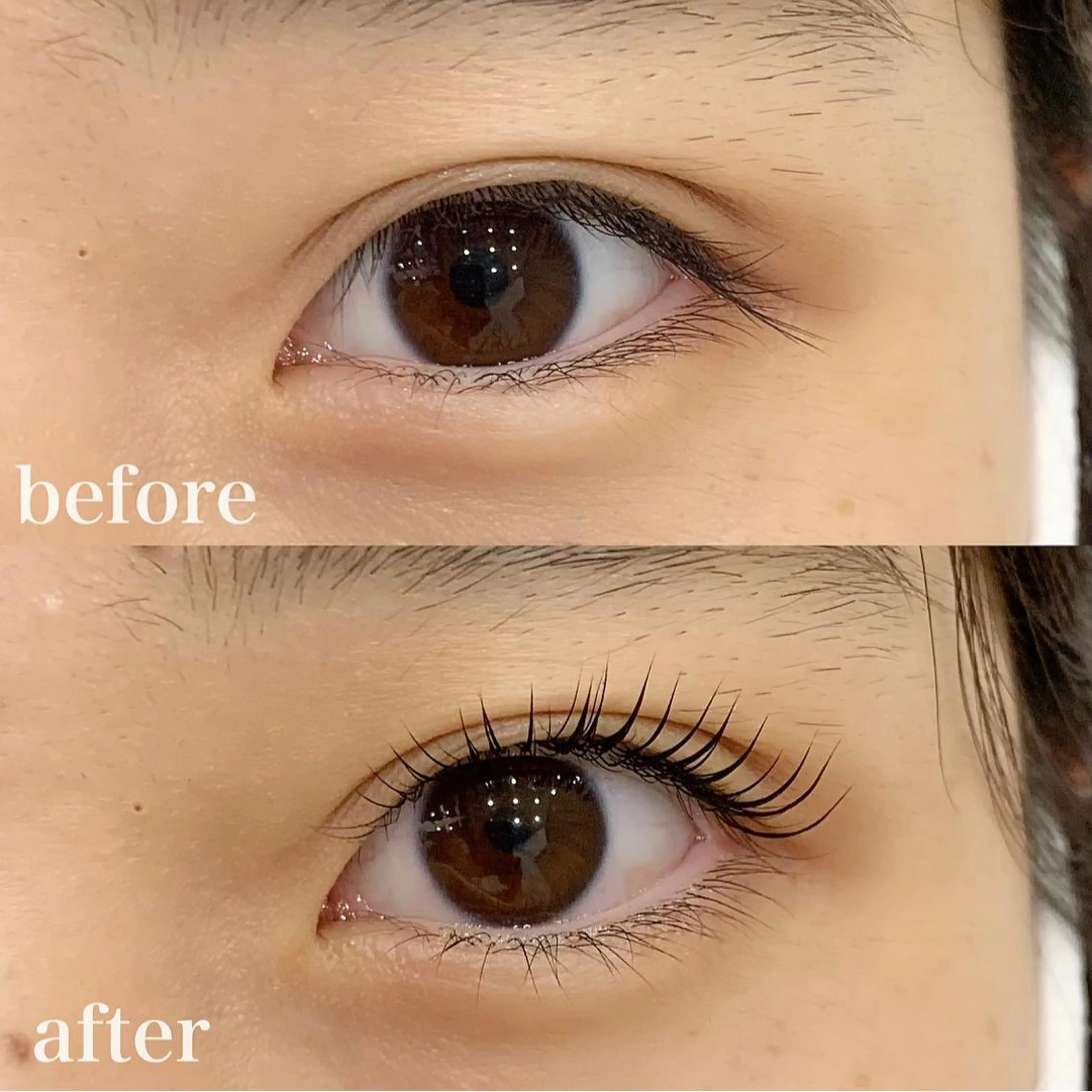 マツエク・マツパ Dカール WHITE EYE 🤍Mayukaの眉毛・アイブロウイメージ