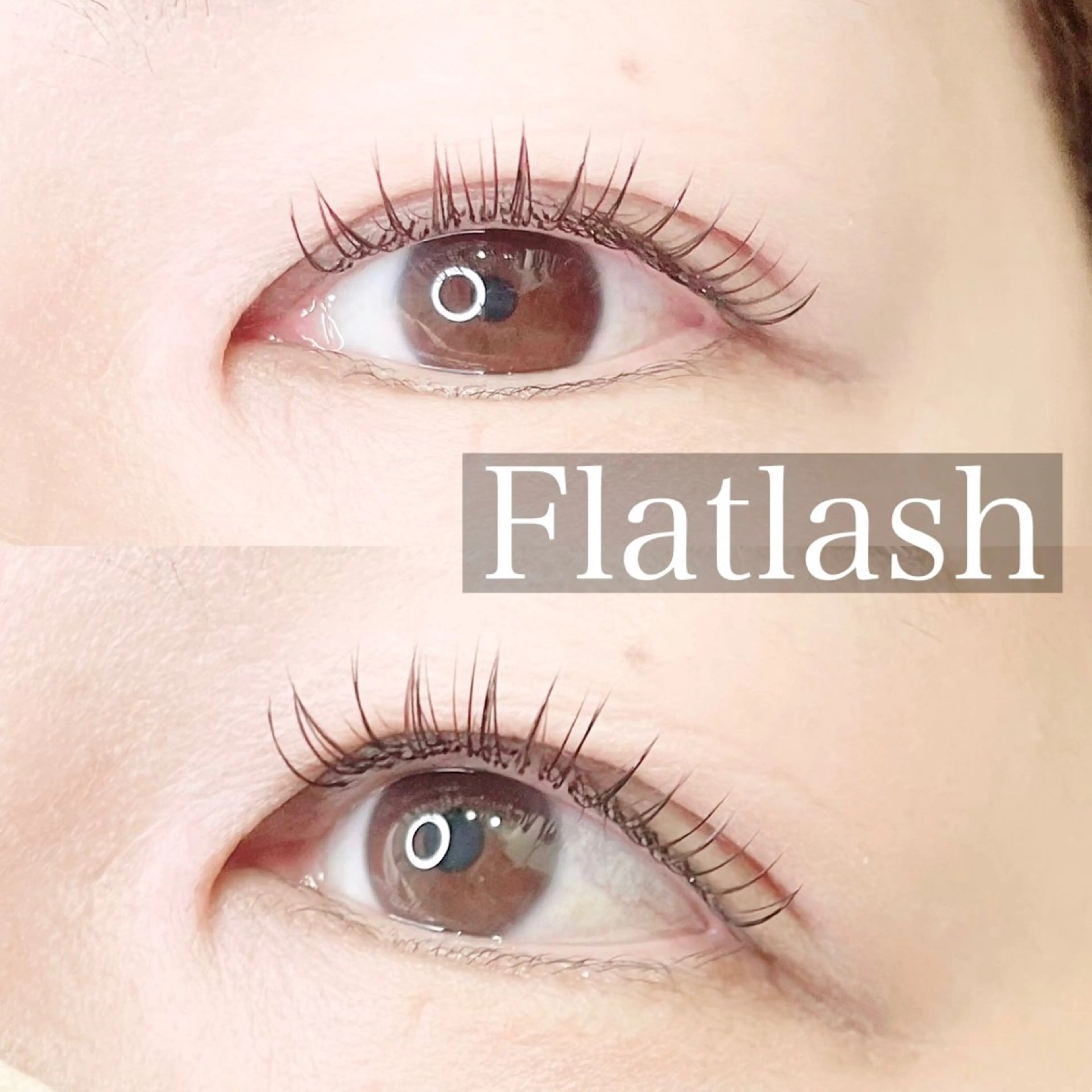 マツエク・マツパ 束感まつ毛 カラーマツエク マツエク fan.germe 店長🍀yukaのマツエク・マツパデザイン